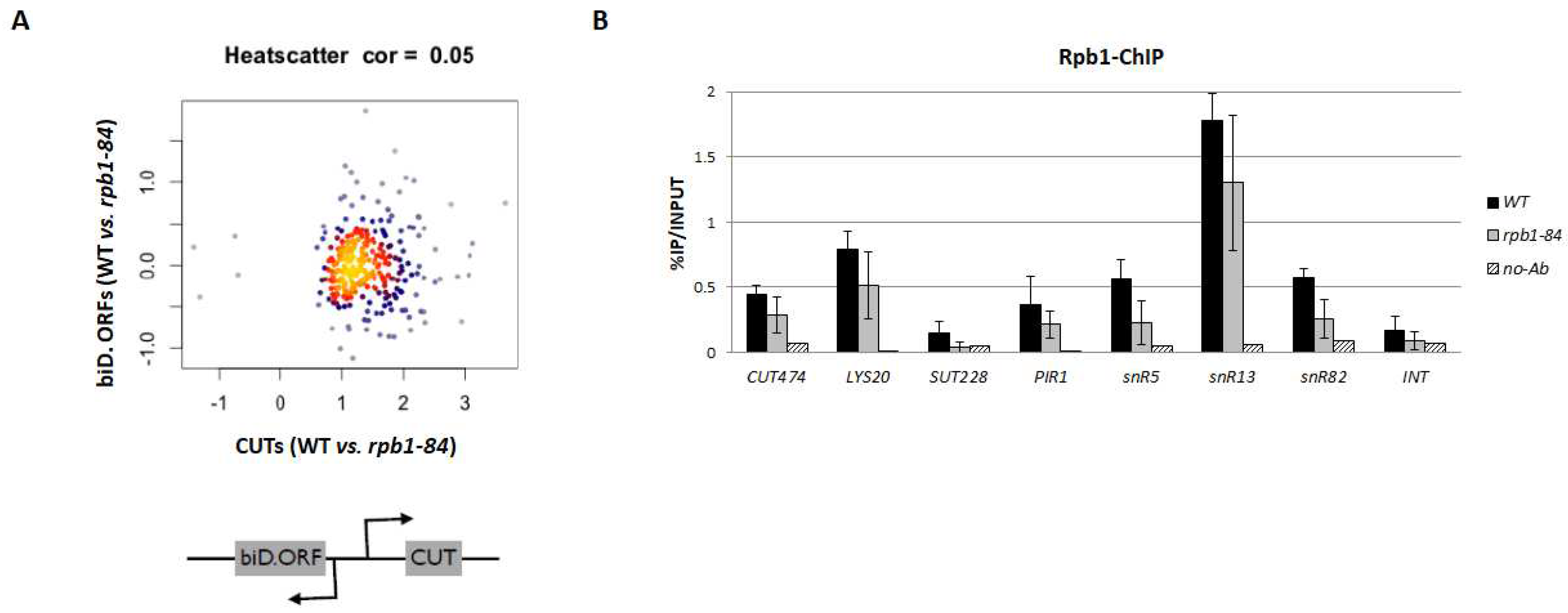 Preprints 91913 g002