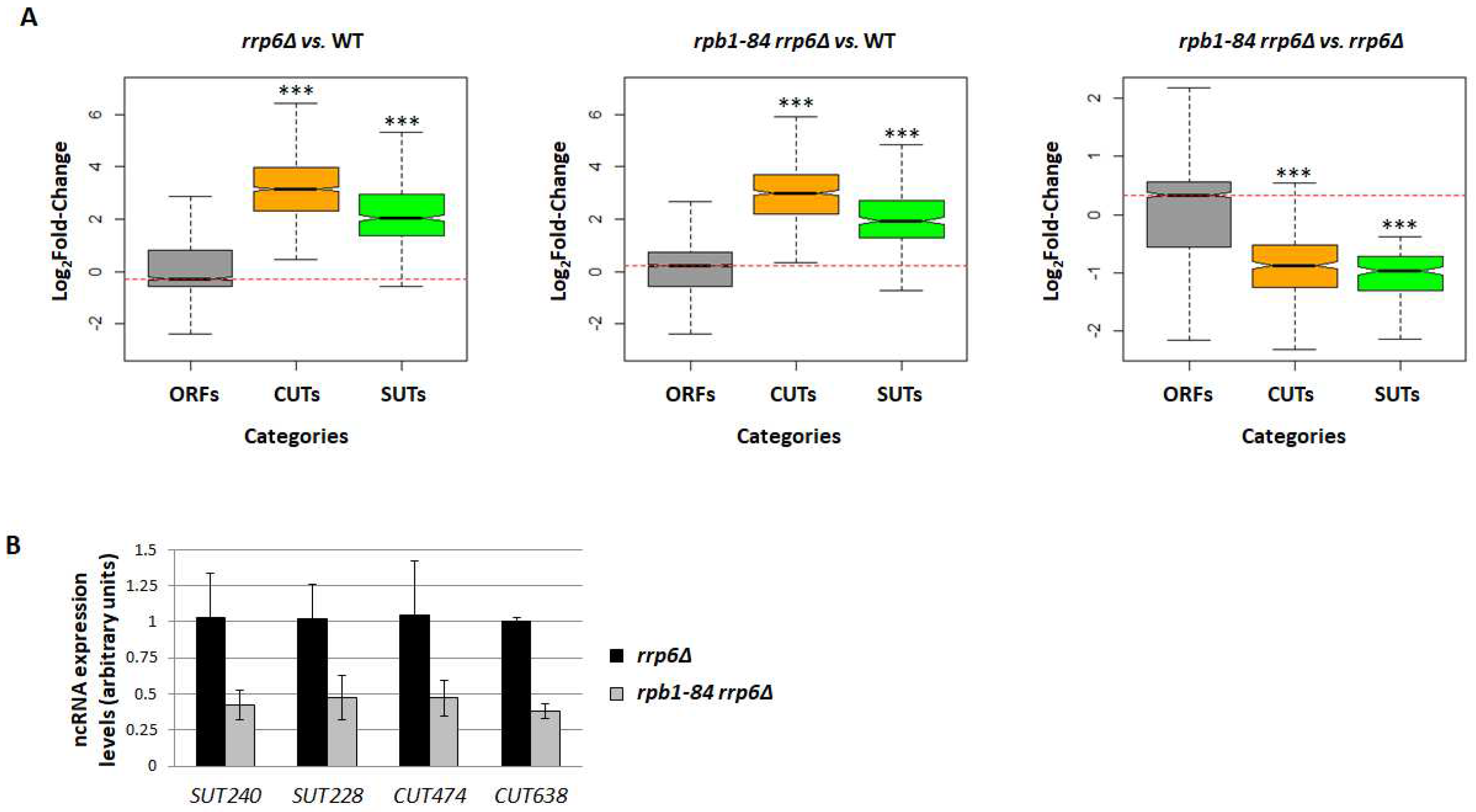 Preprints 91913 g003