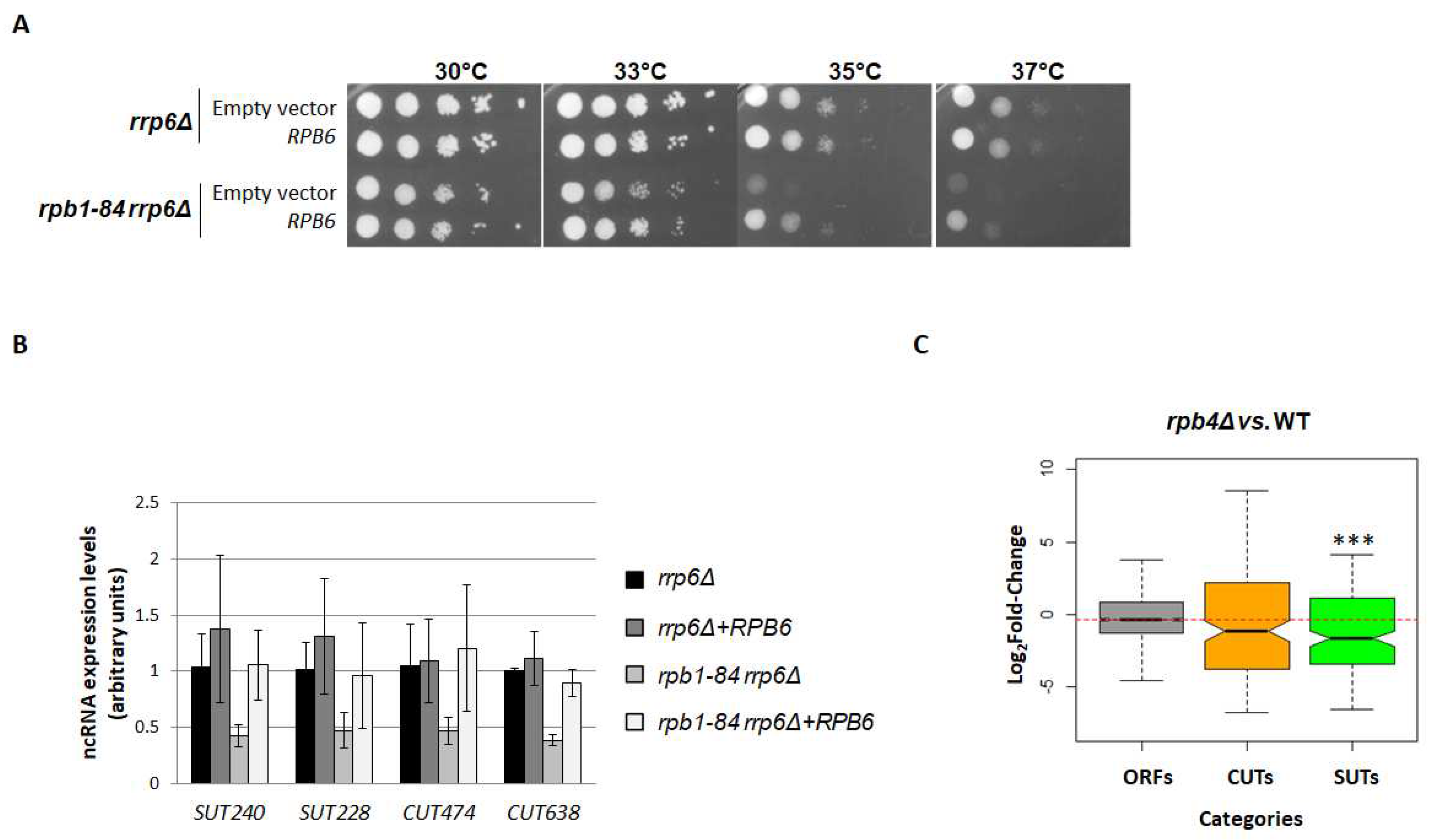 Preprints 91913 g004