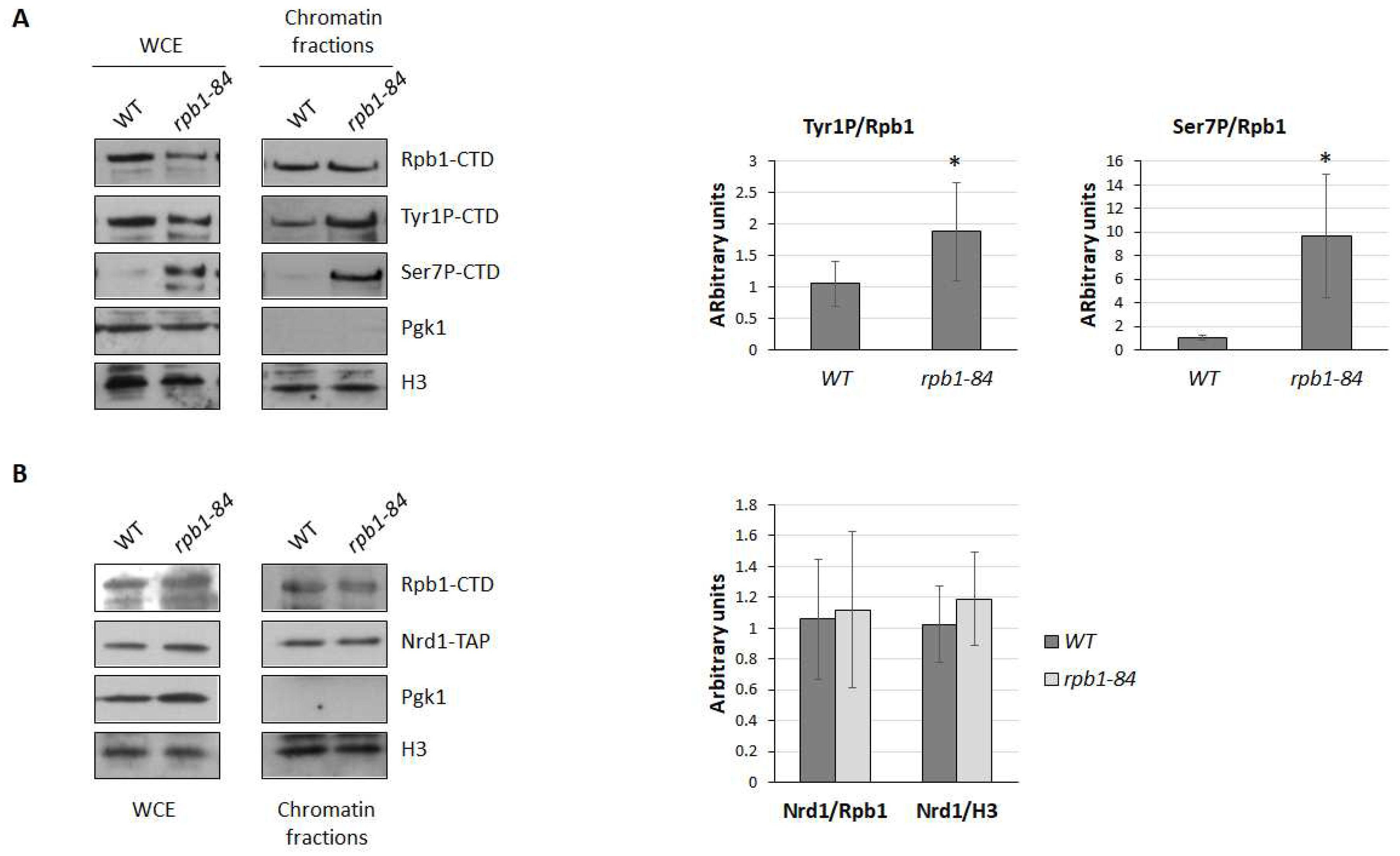 Preprints 91913 g005