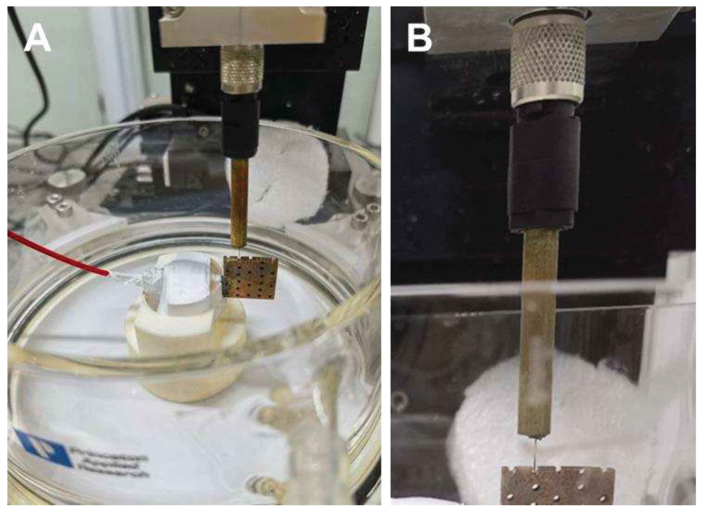 Preprints 87547 g003