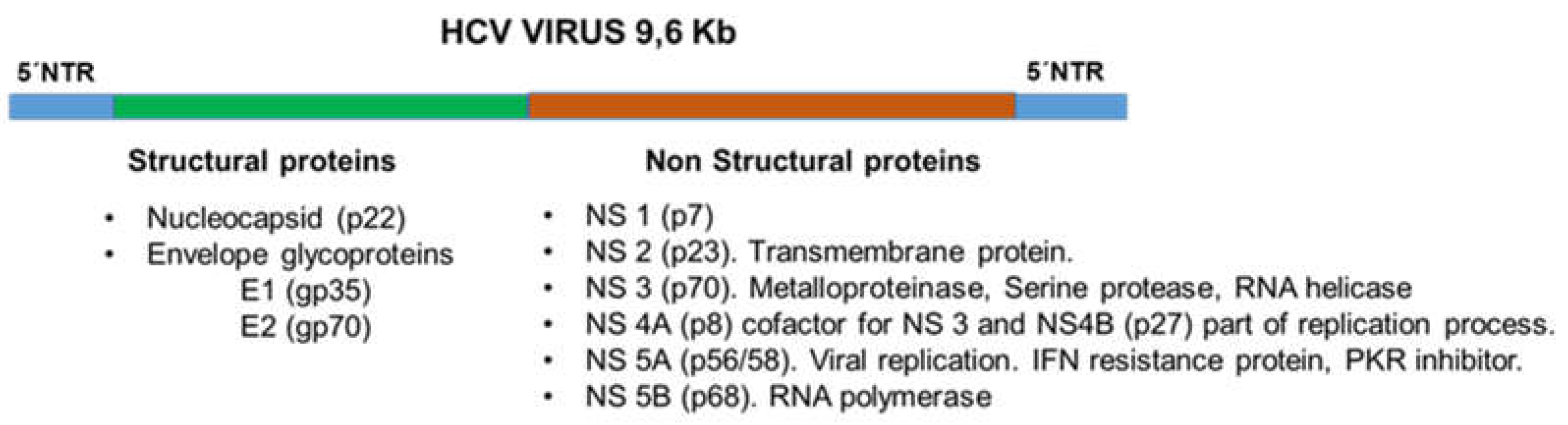 Preprints 86528 g001