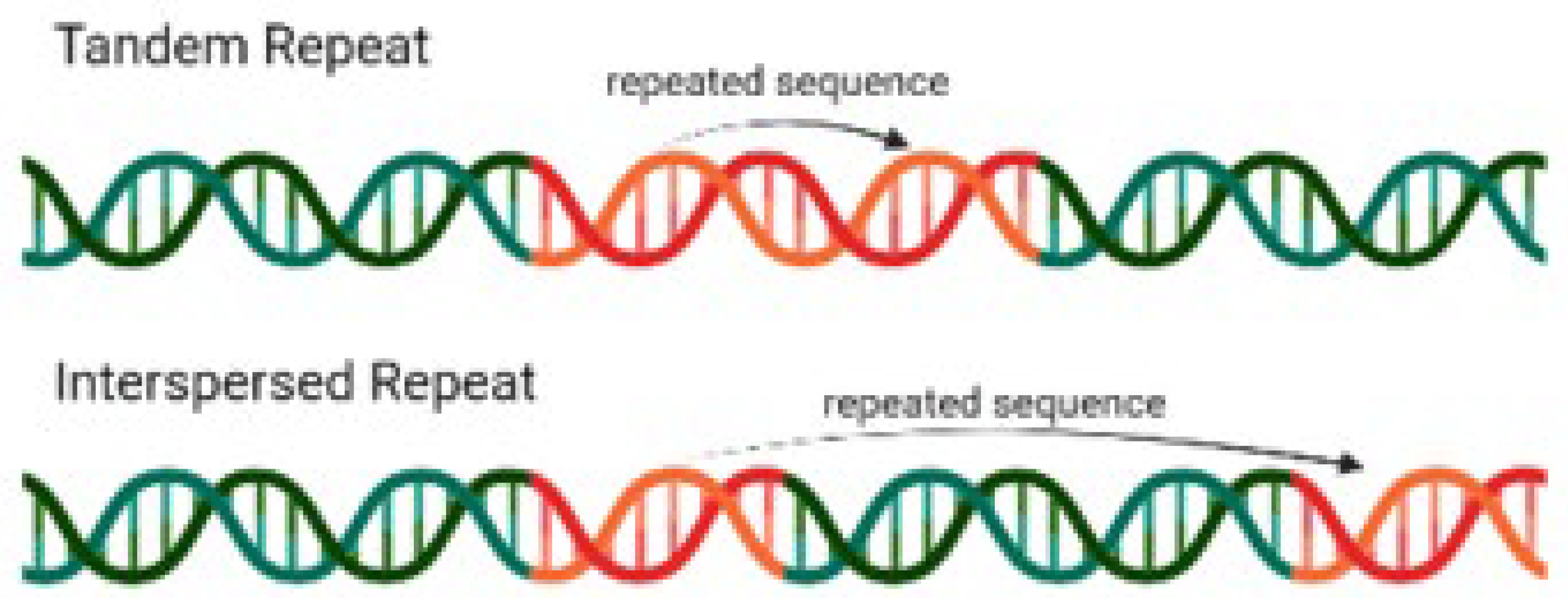 Preprints 107122 g001