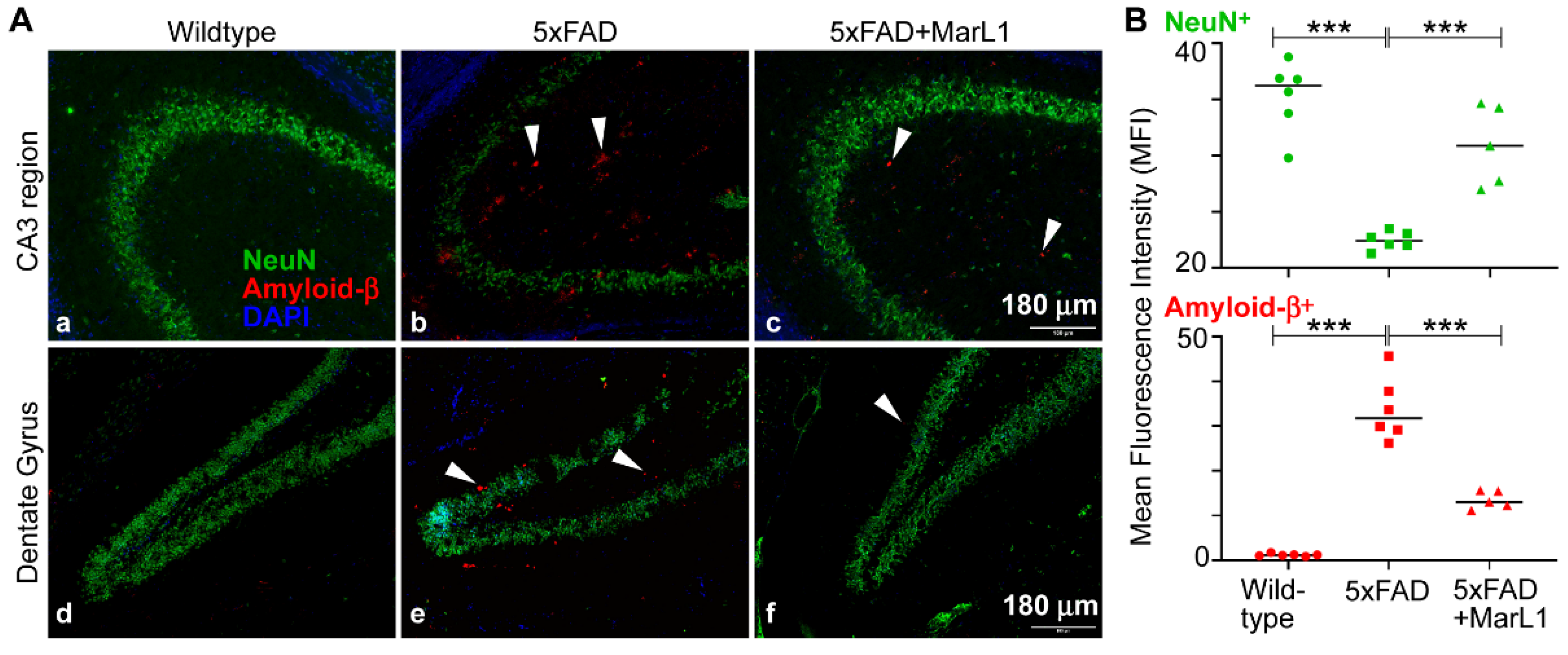 Preprints 119492 g001