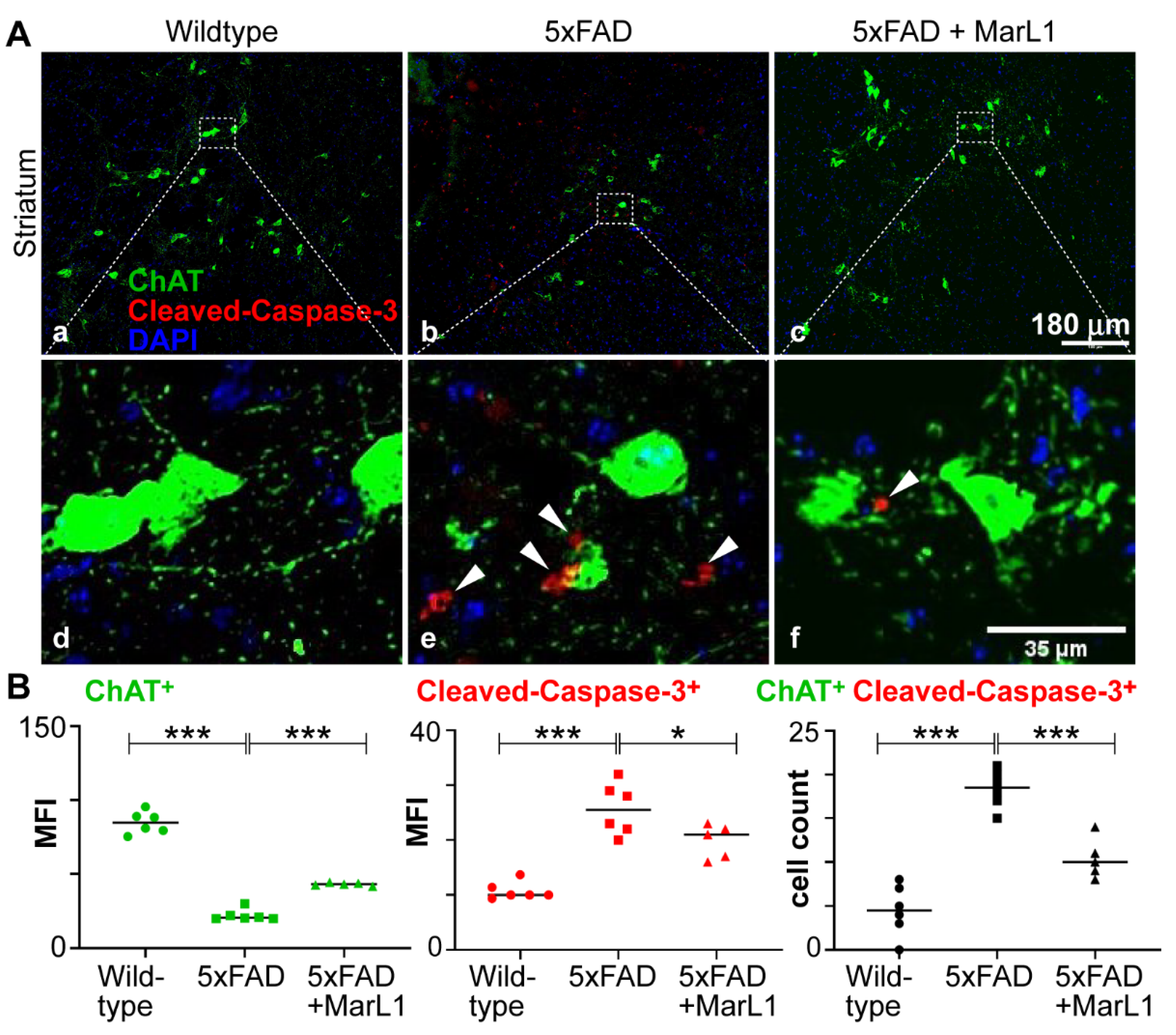 Preprints 119492 g002