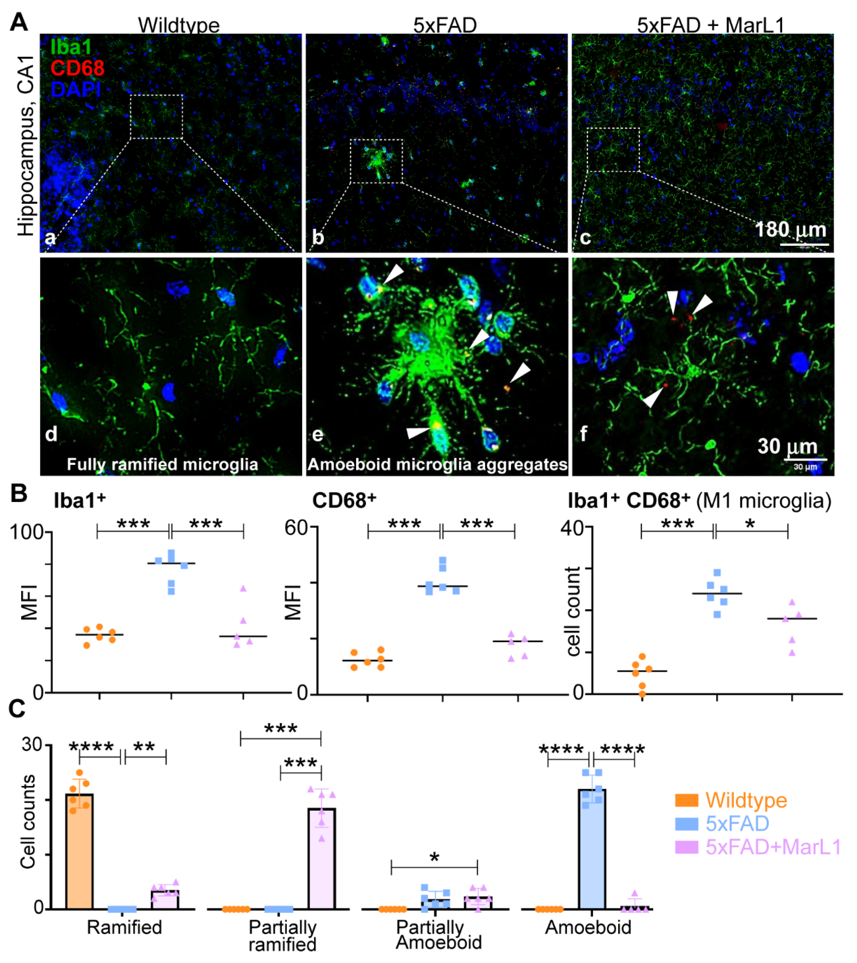 Preprints 119492 g003