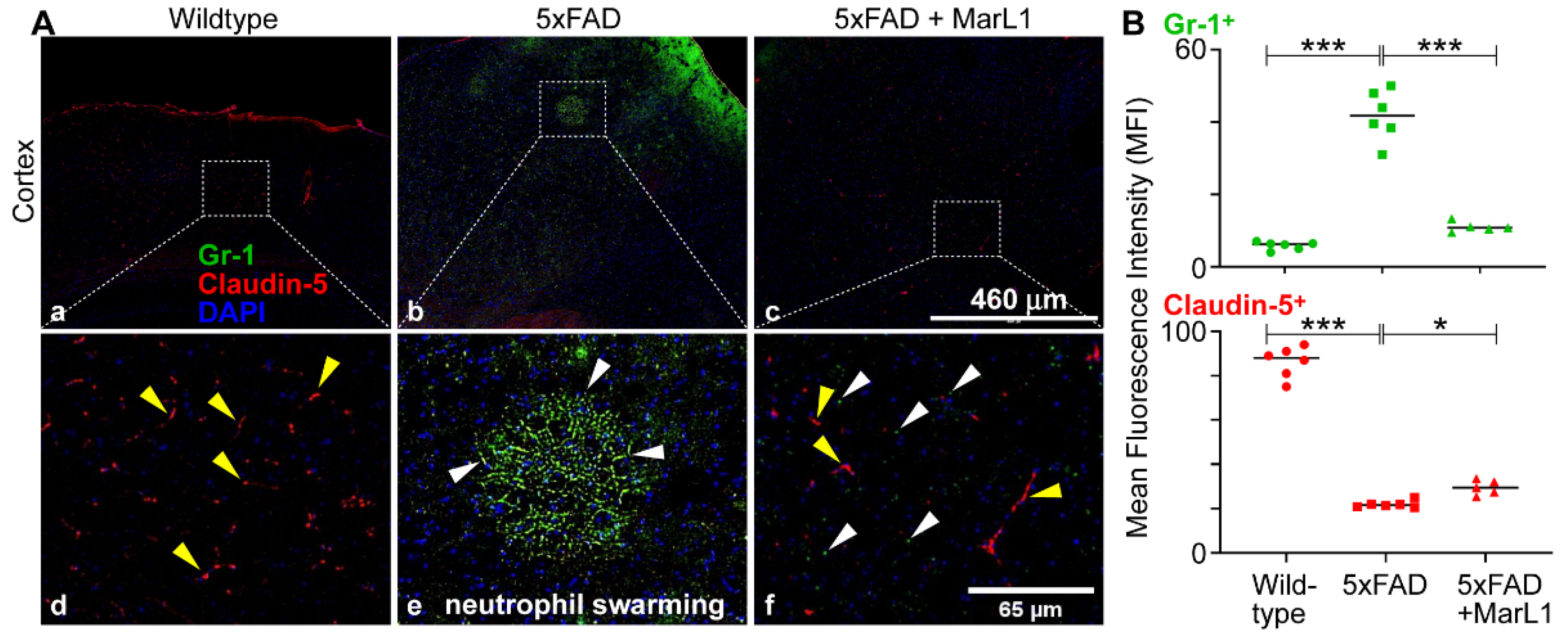 Preprints 119492 g005