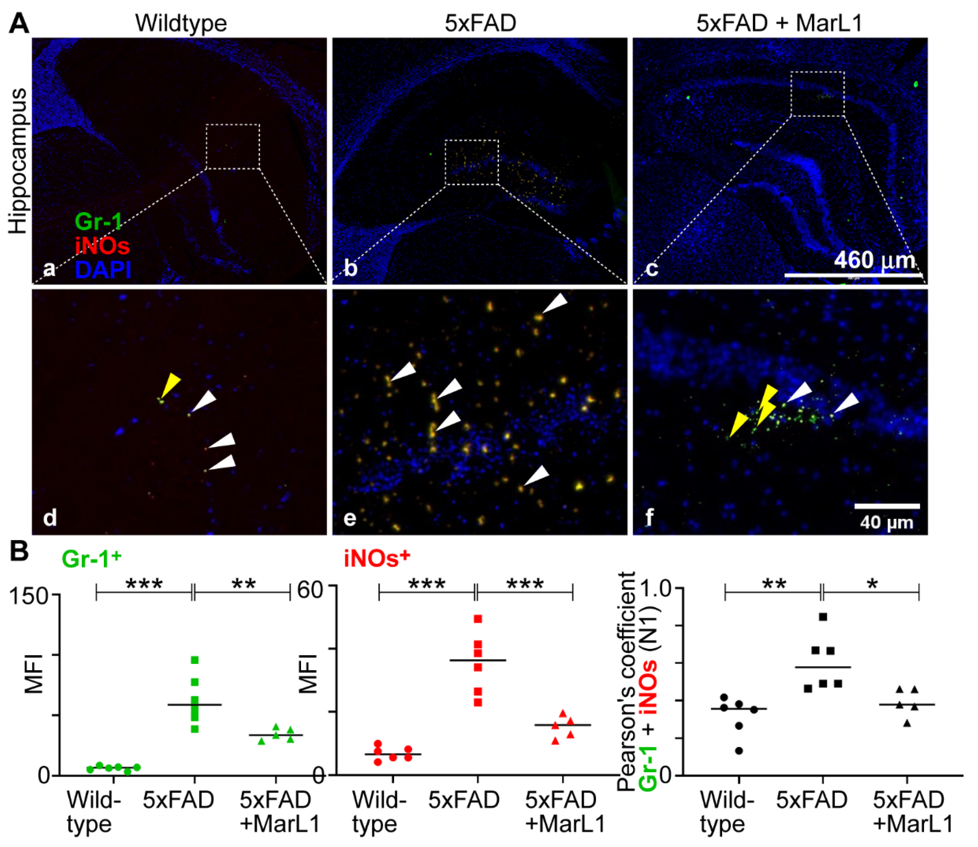 Preprints 119492 g006