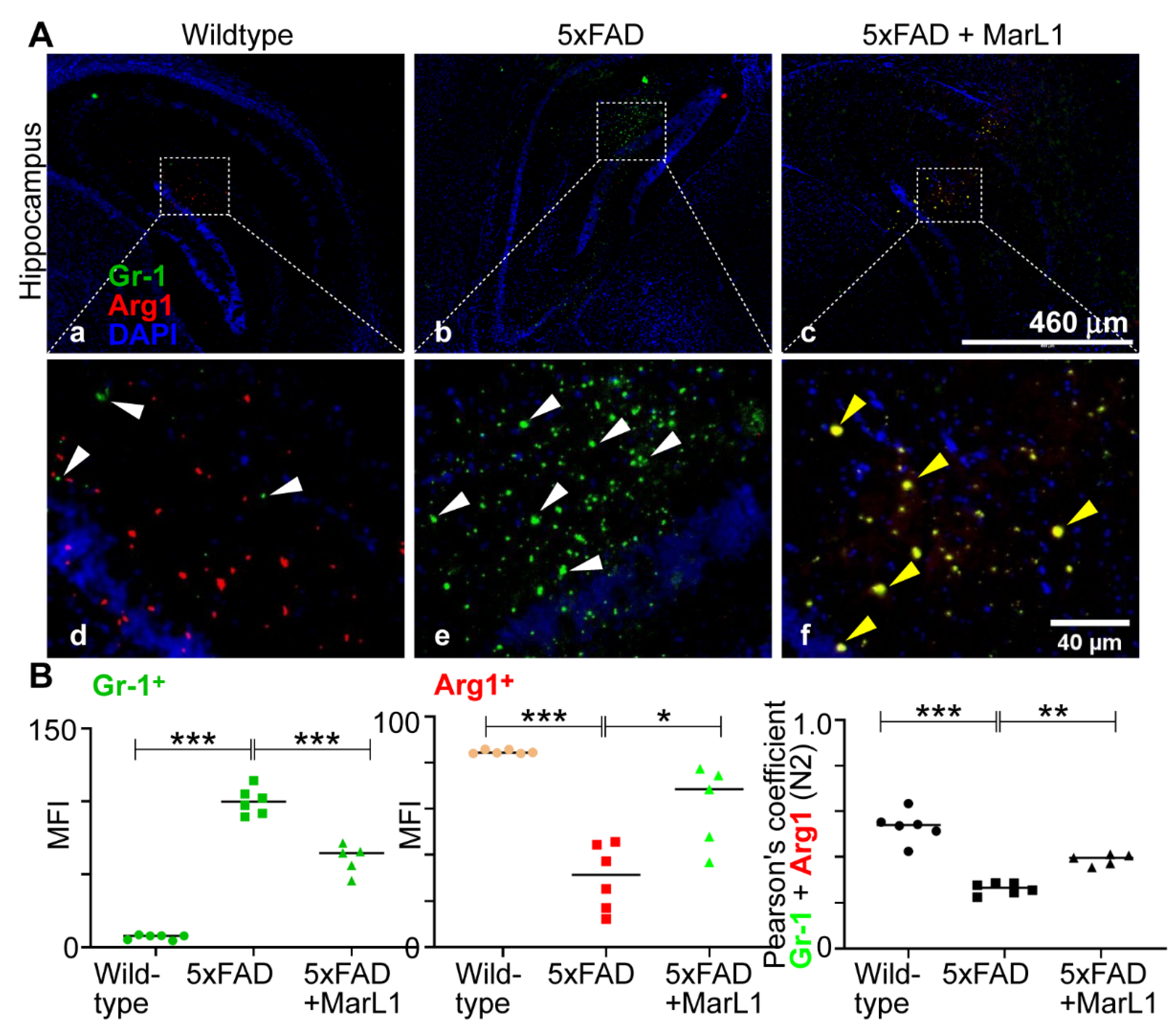 Preprints 119492 g007