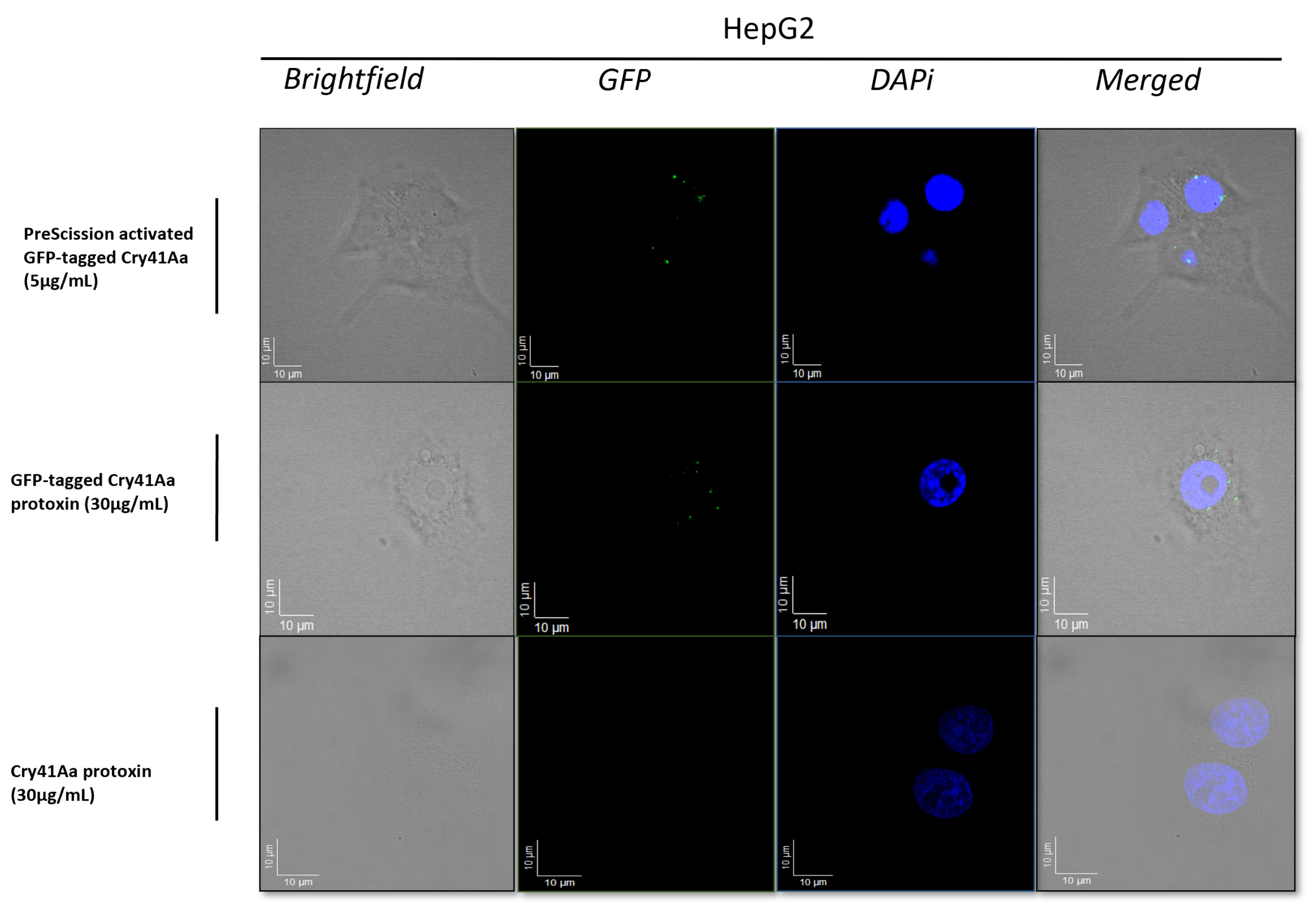 Preprints 108604 g001