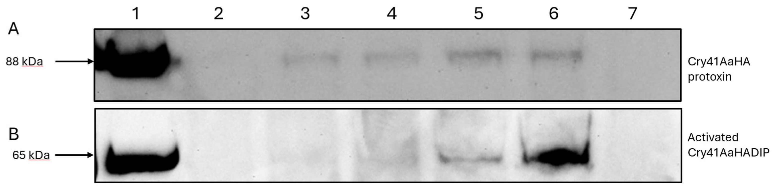 Preprints 108604 g002