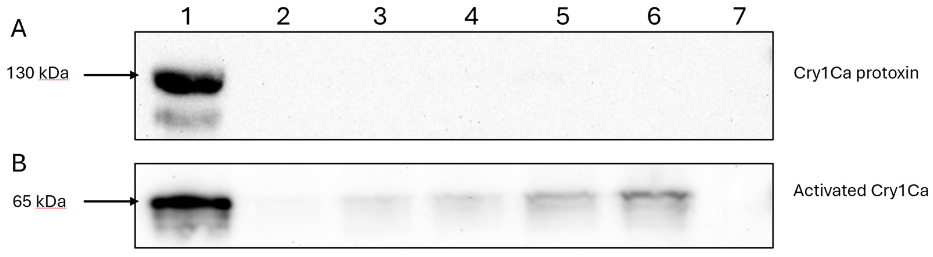 Preprints 108604 g005