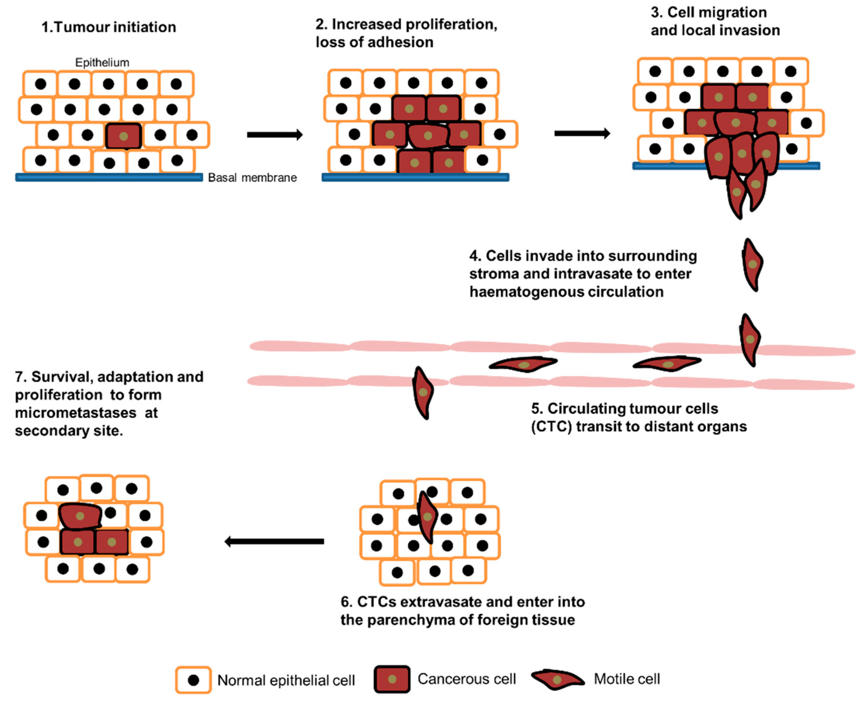 Preprints 84662 g001