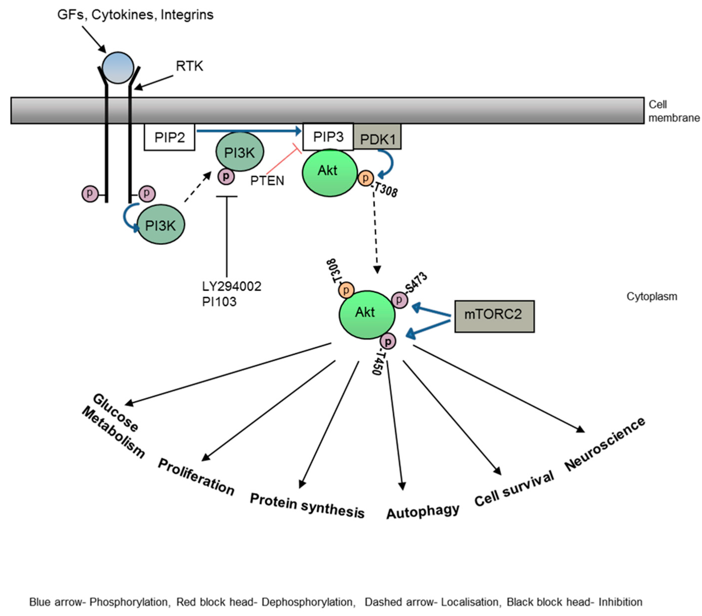 Preprints 84662 g002