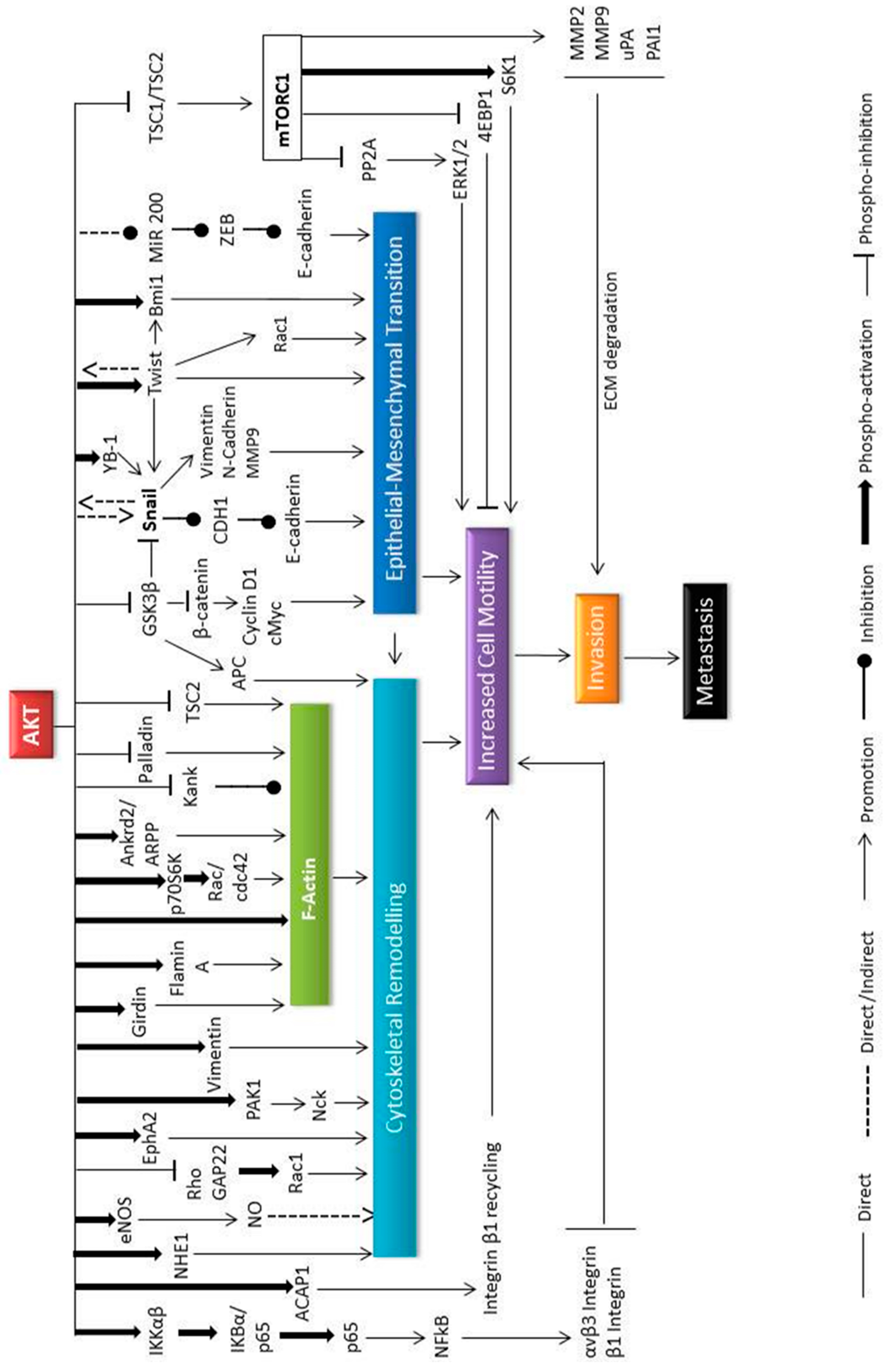 Preprints 84662 g004