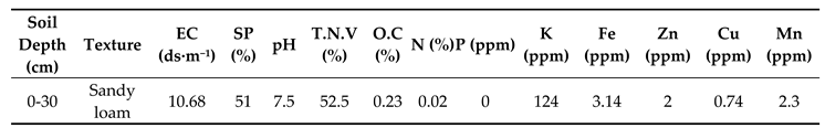 Preprints 78784 i001