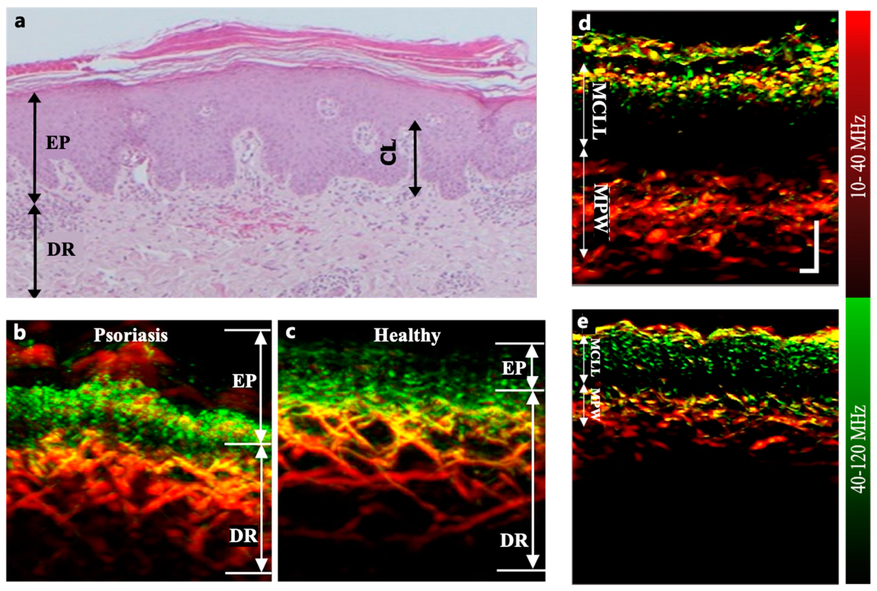 Preprints 97003 g002