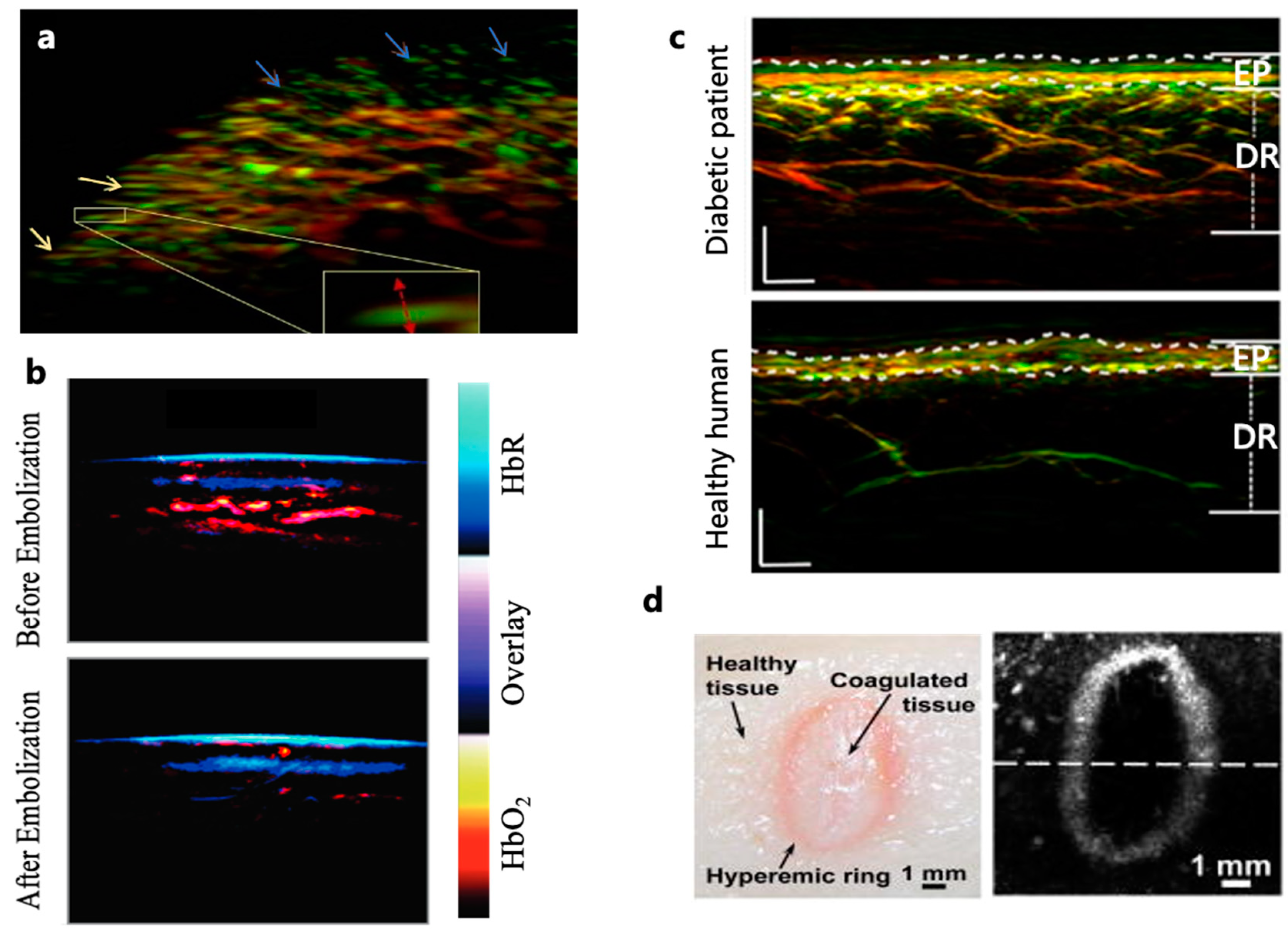 Preprints 97003 g003