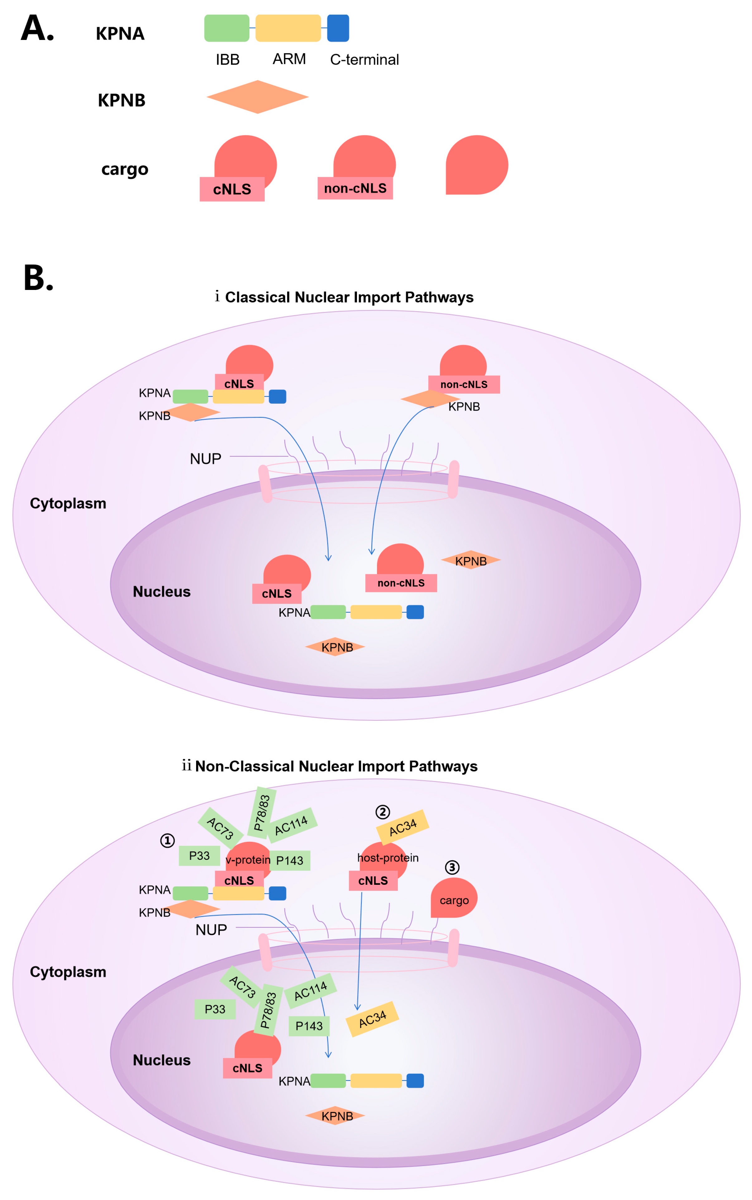 Preprints 96979 g001