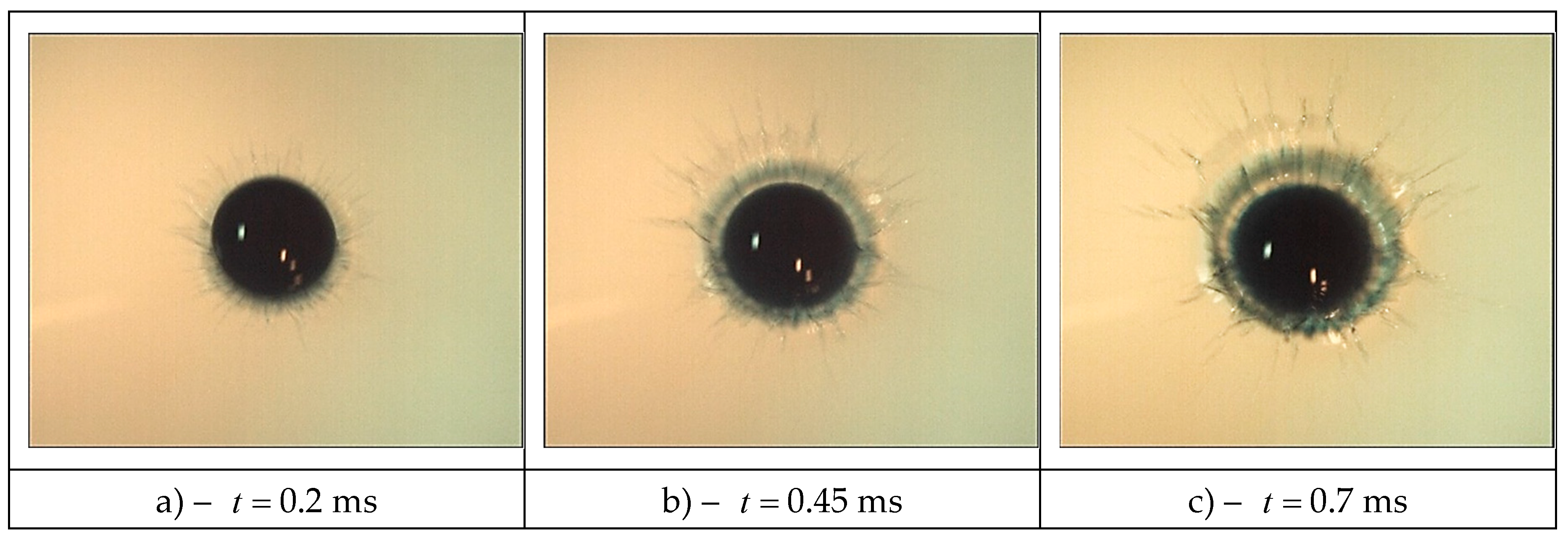 Preprints 81512 g002a