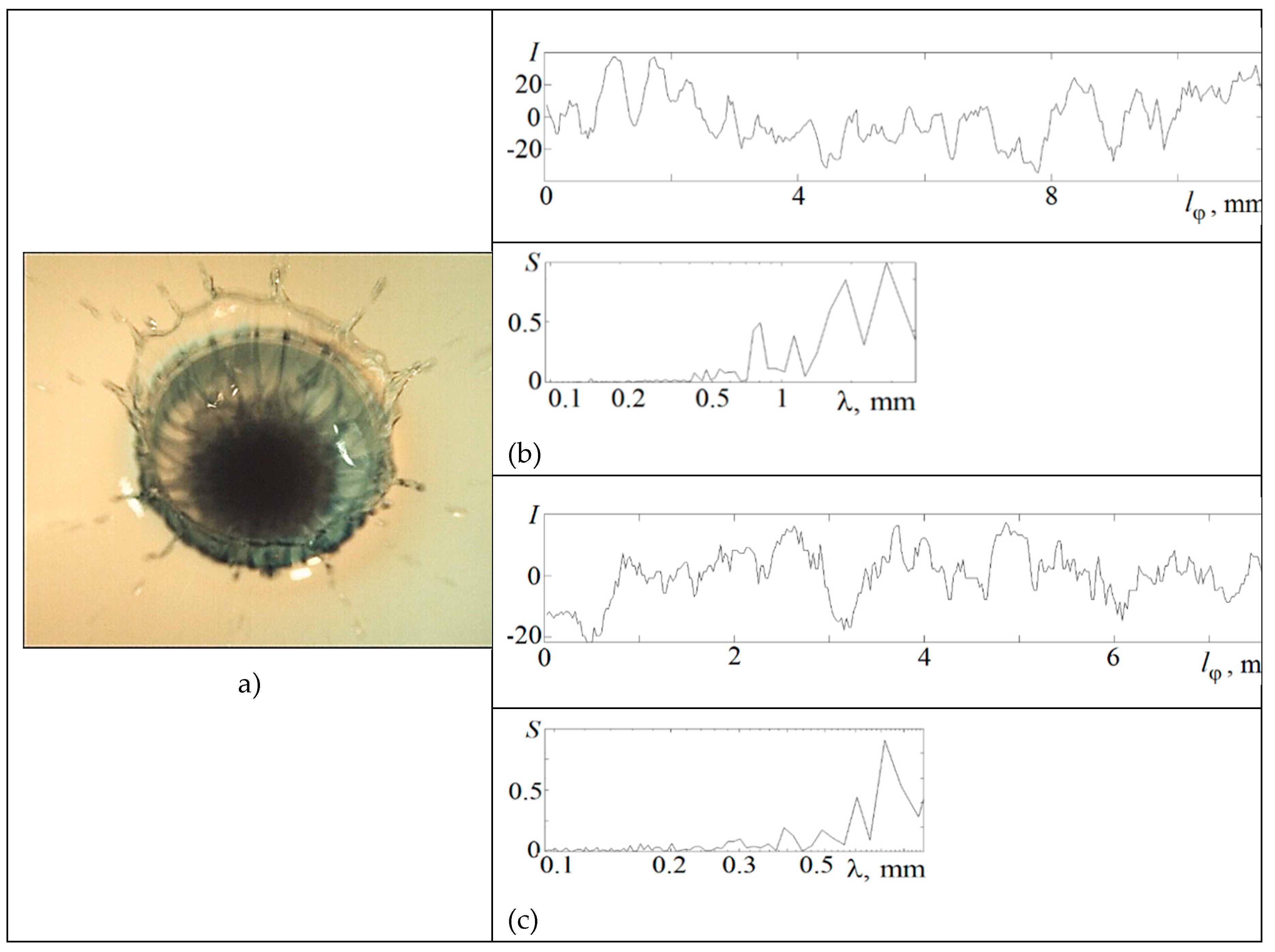 Preprints 81512 g003