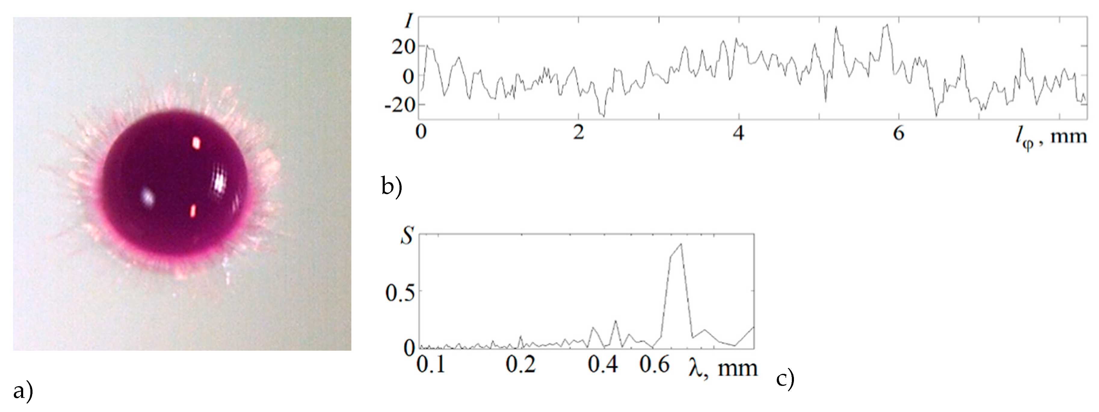 Preprints 81512 g007