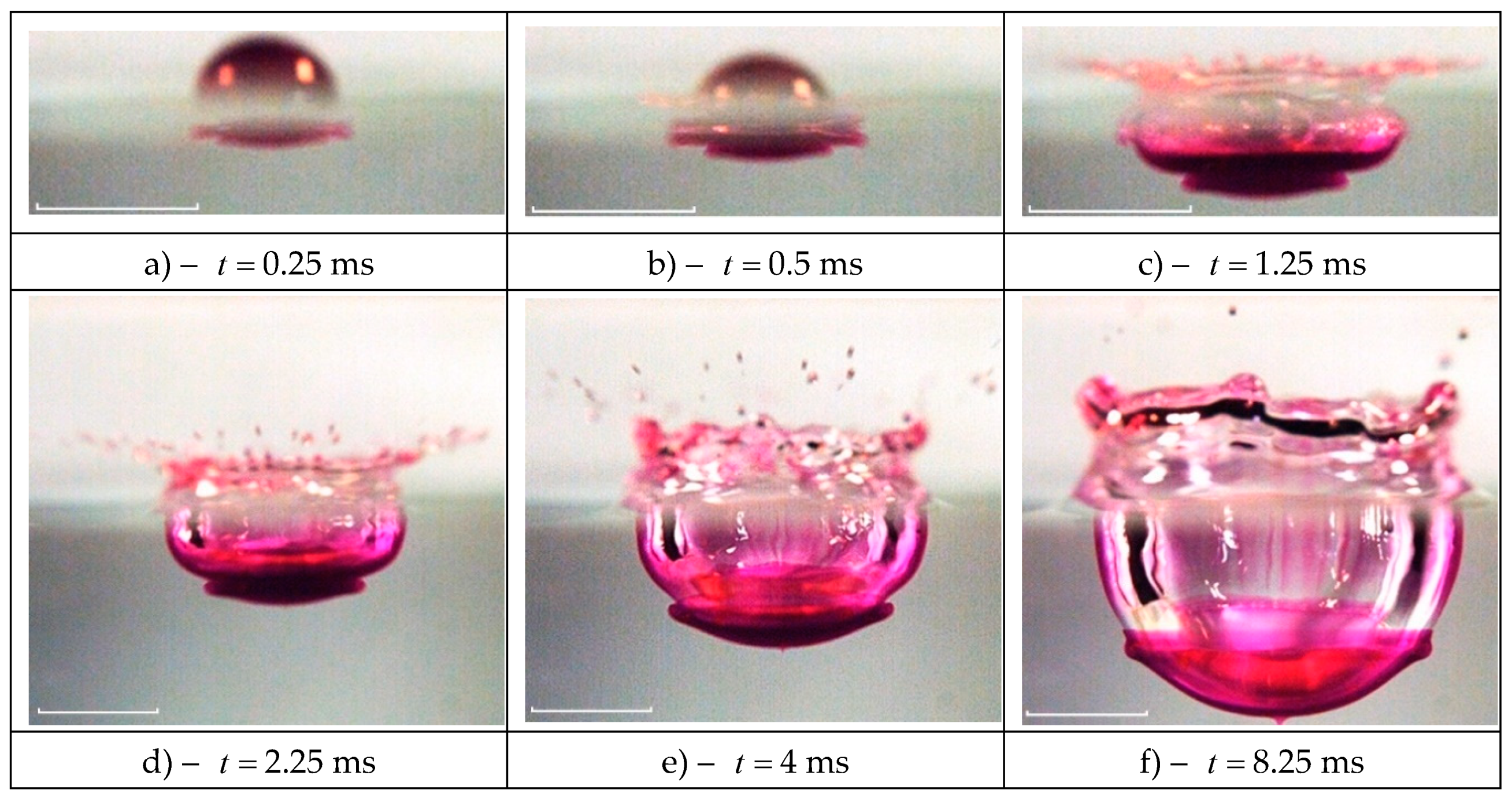 Preprints 81512 g008