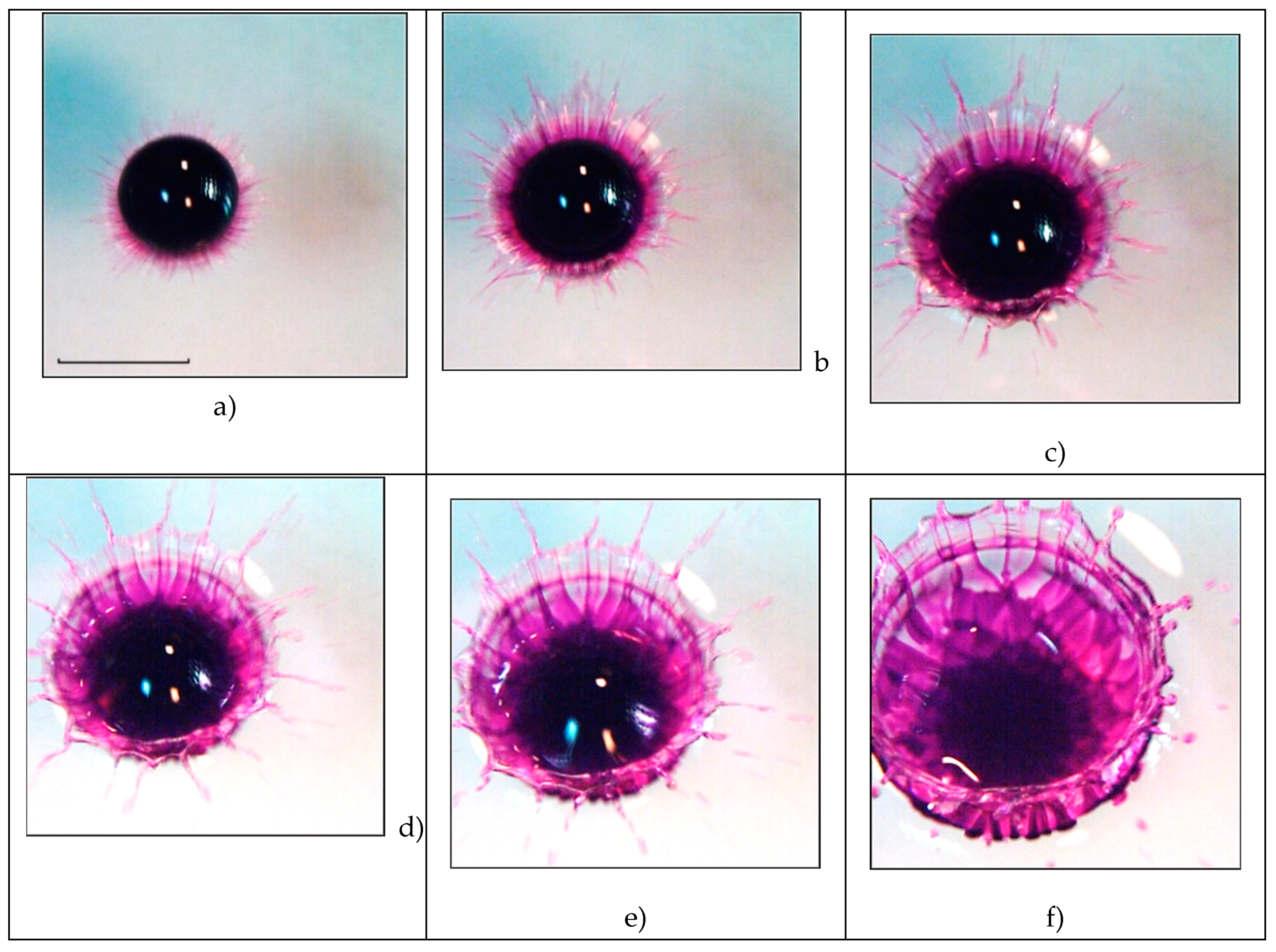 Preprints 81512 g009