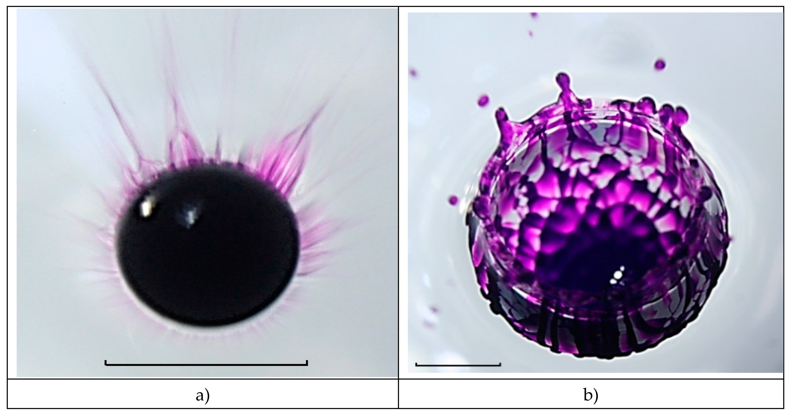 Preprints 81512 g010