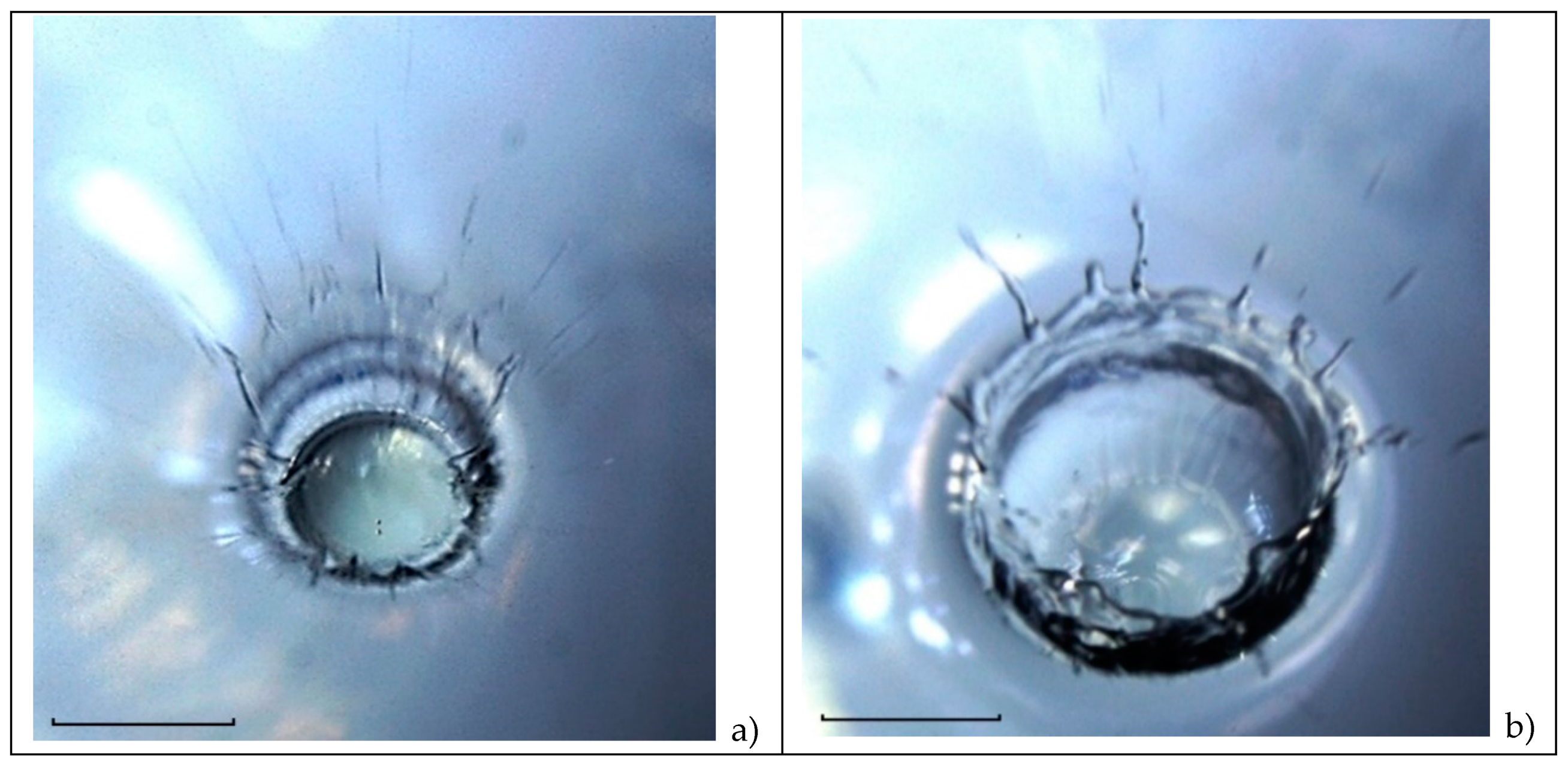 Preprints 81512 g013