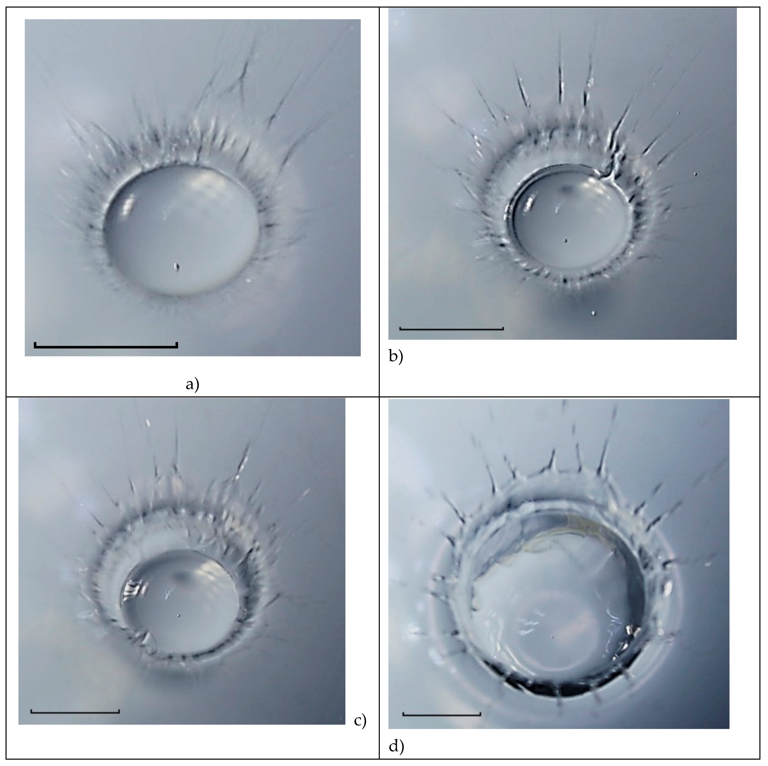 Preprints 81512 g015