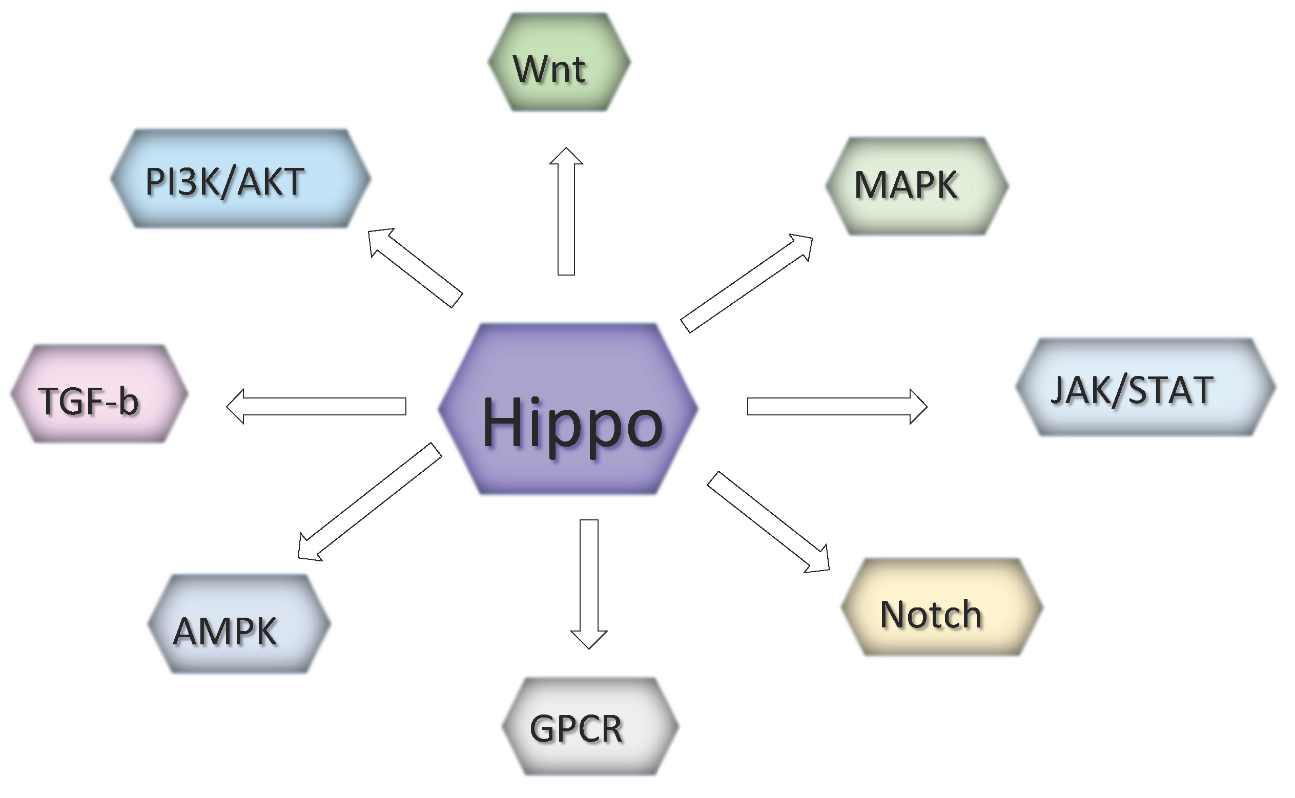 Preprints 103420 g003