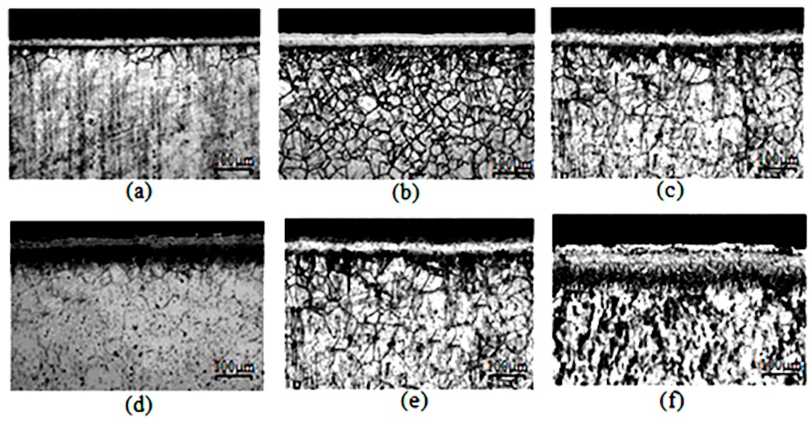 Preprints 119147 g002