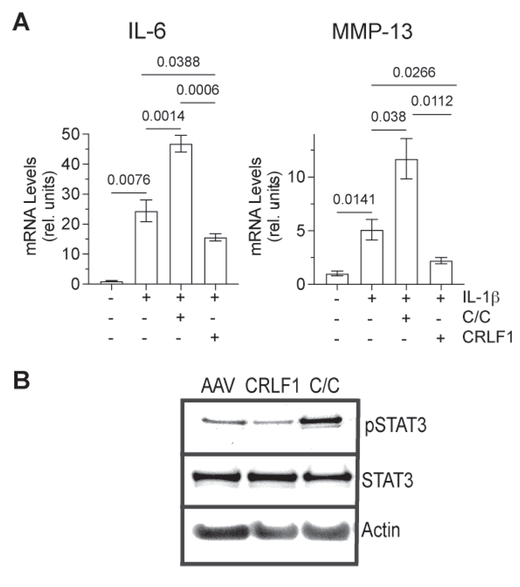 Preprints 101671 g006