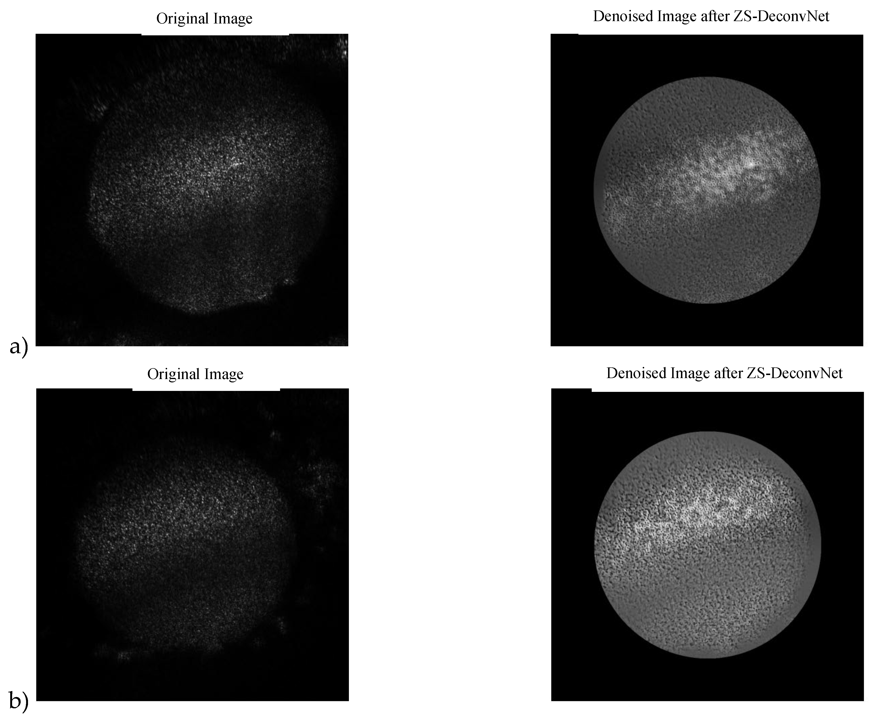 Preprints 120955 g005