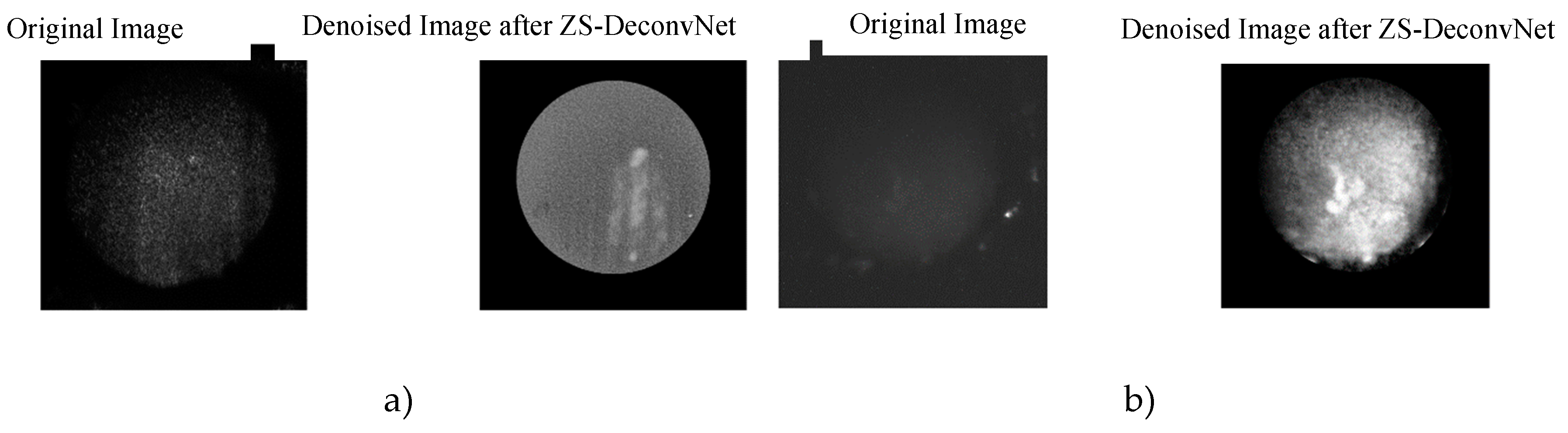 Preprints 120955 g006