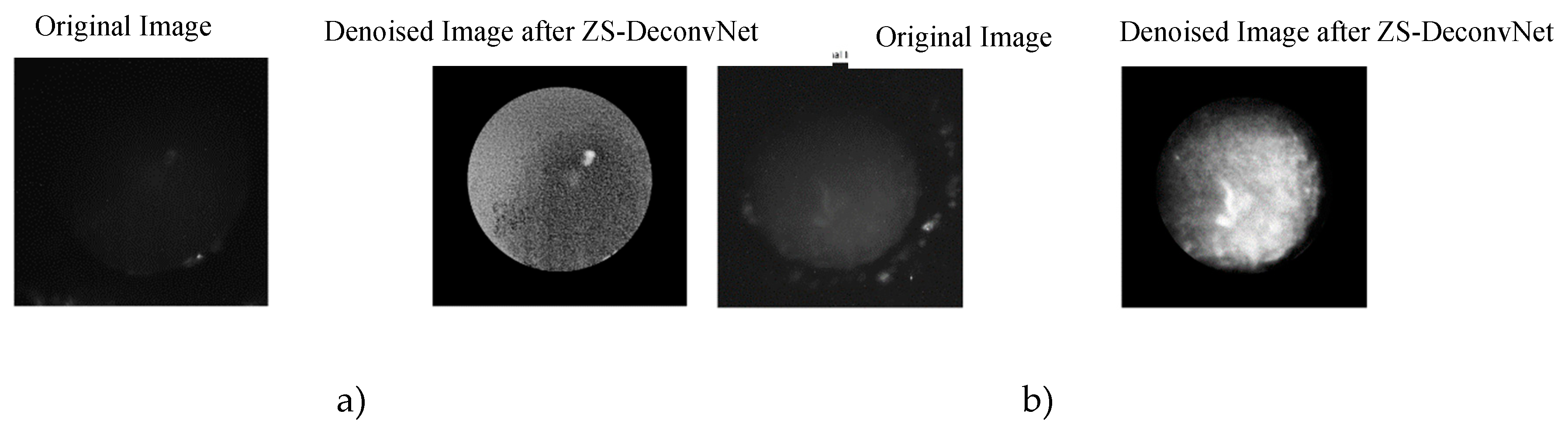 Preprints 120955 g007