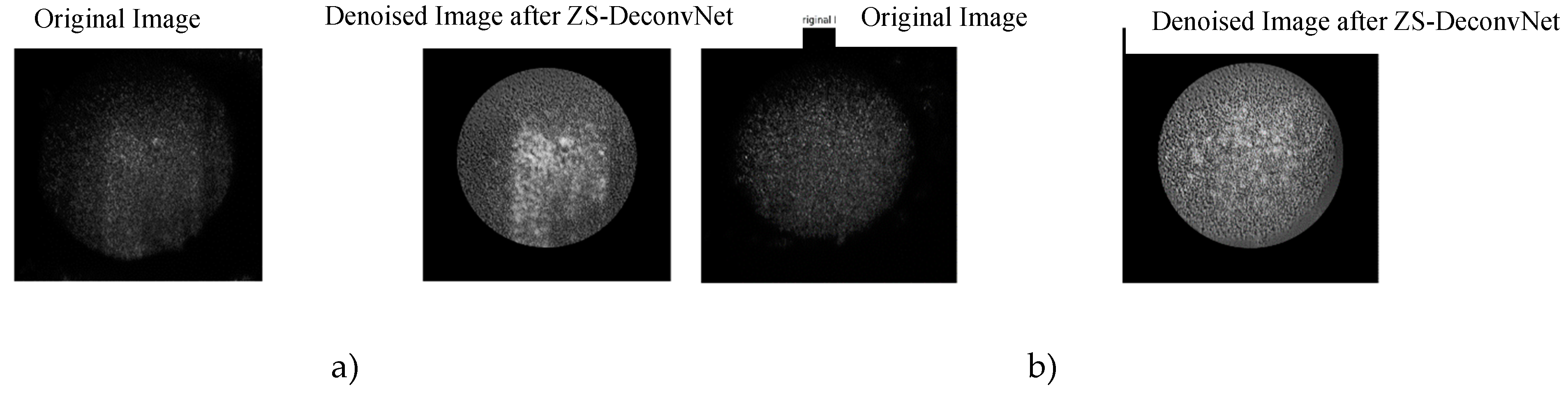 Preprints 120955 g008