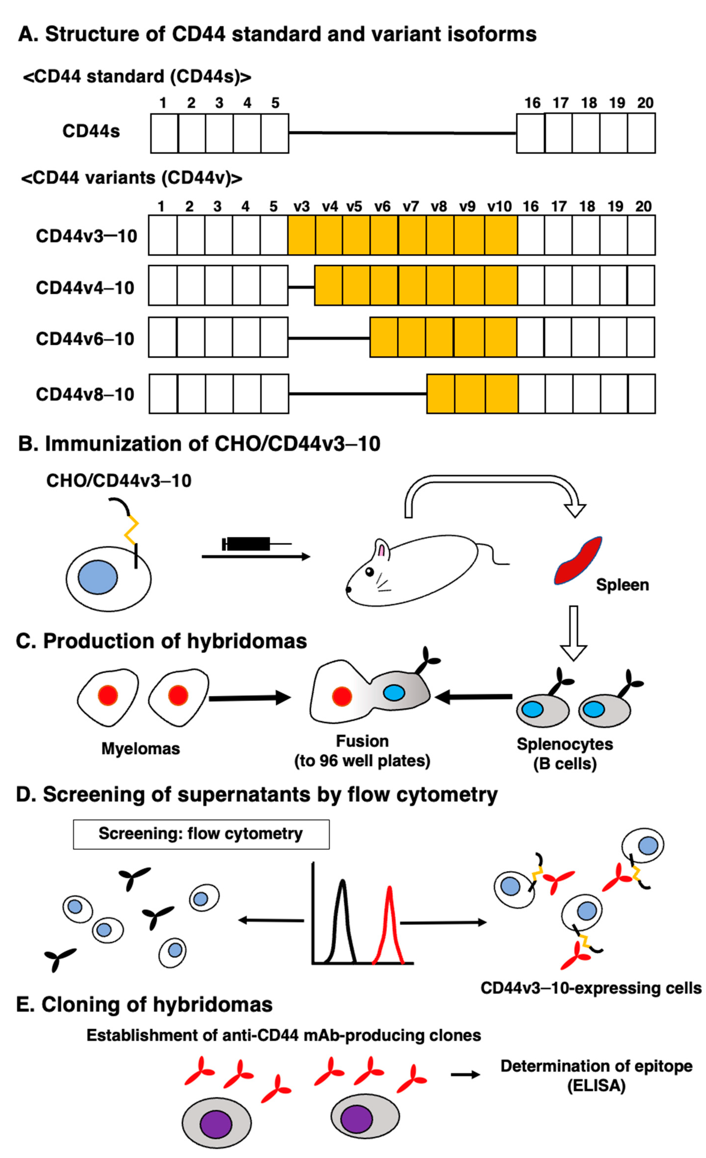 Preprints 70011 g001