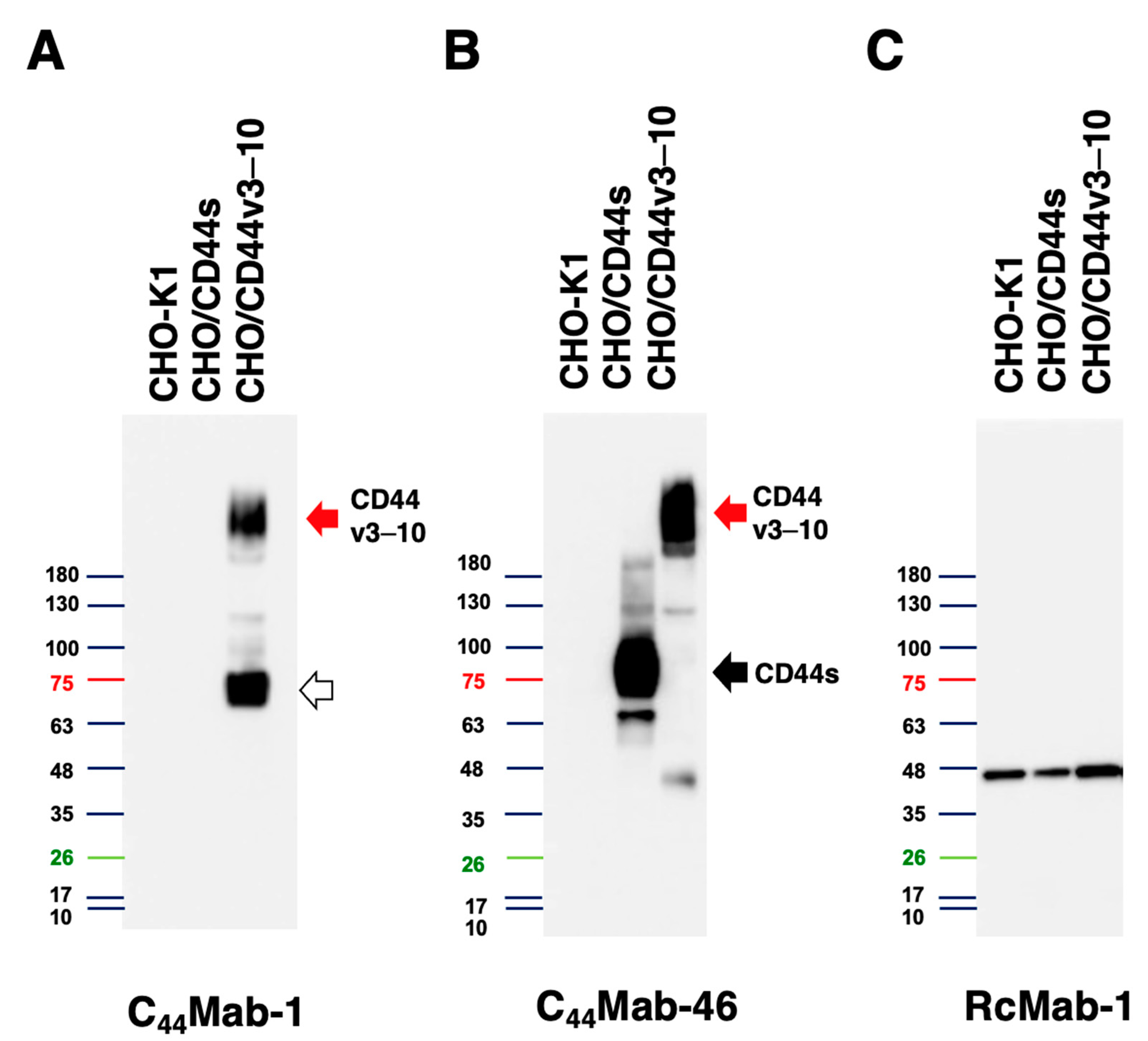 Preprints 70011 g004