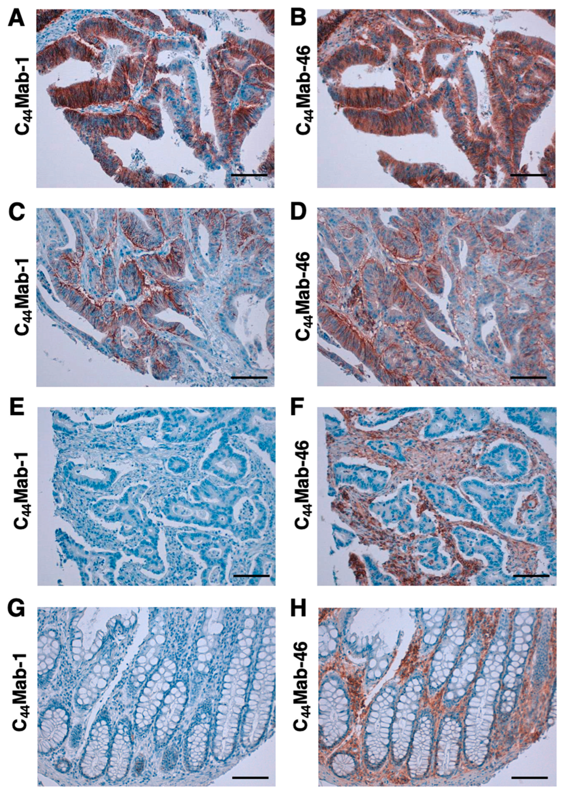 Preprints 70011 g005