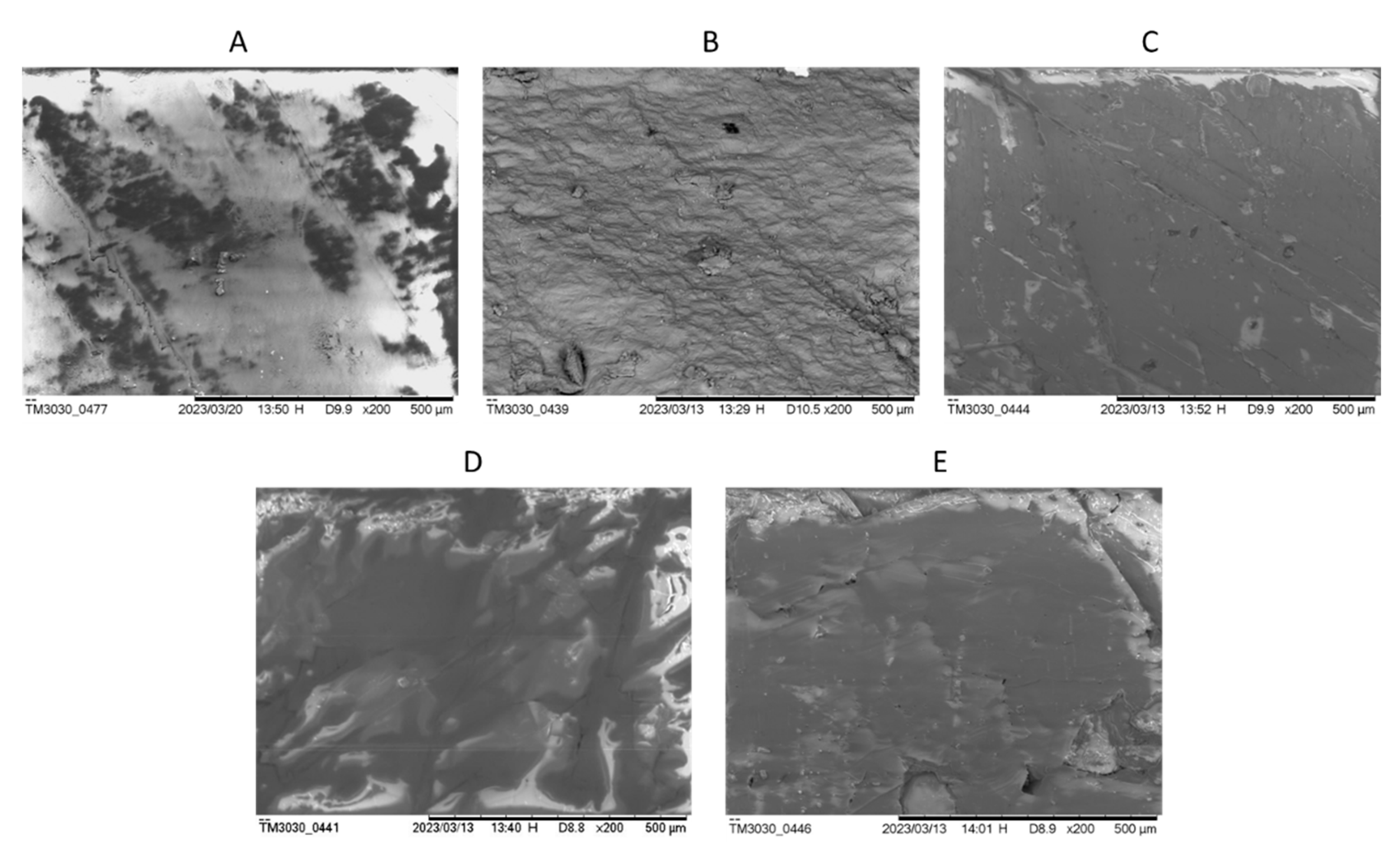 Preprints 85586 g004