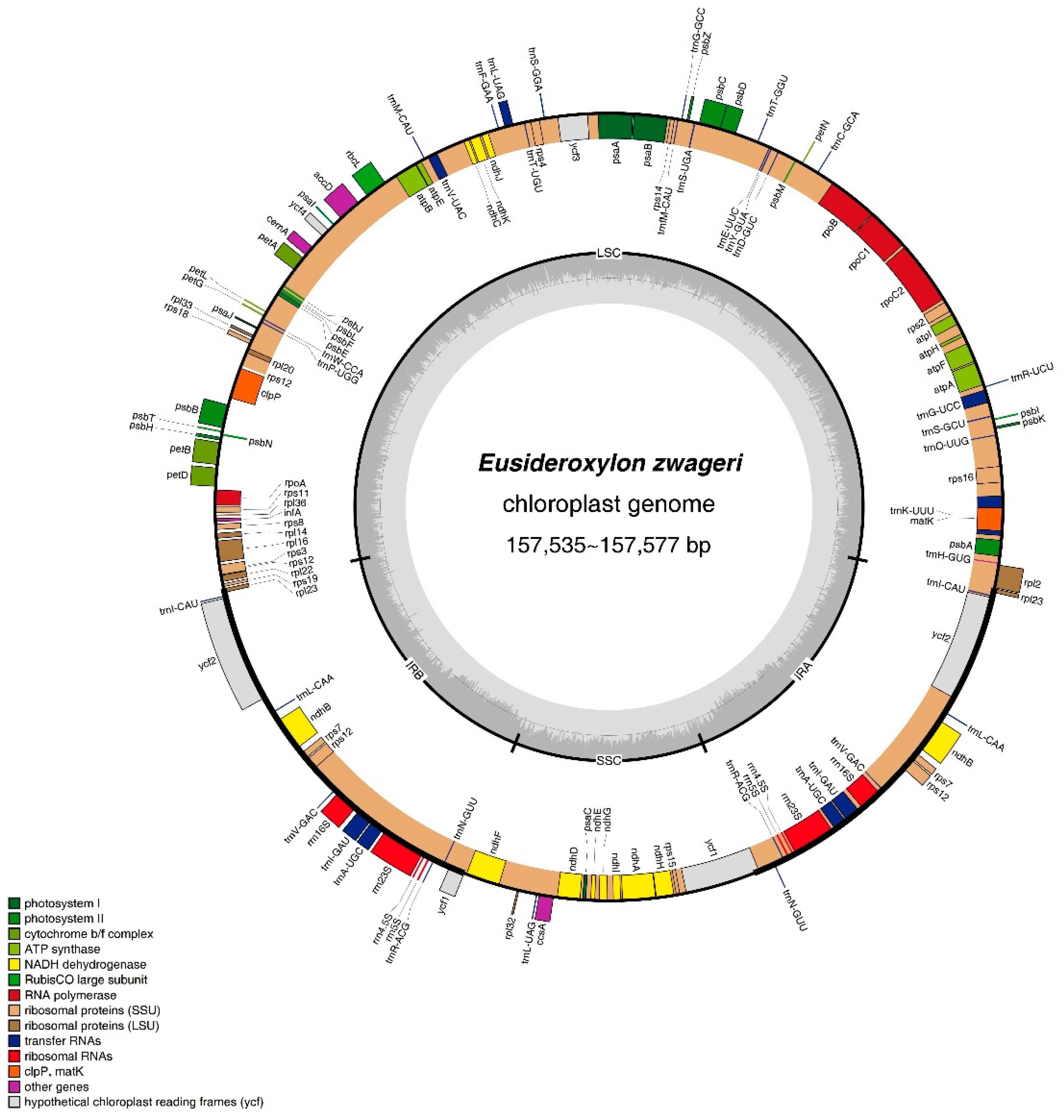 Preprints 90062 g002