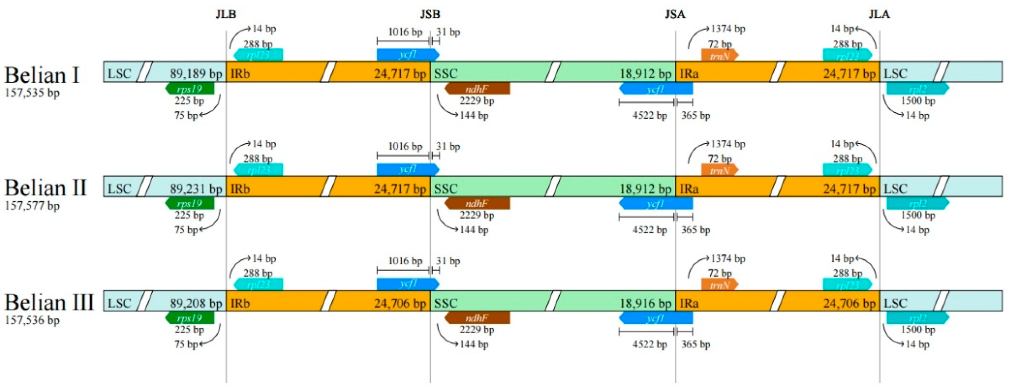 Preprints 90062 g006