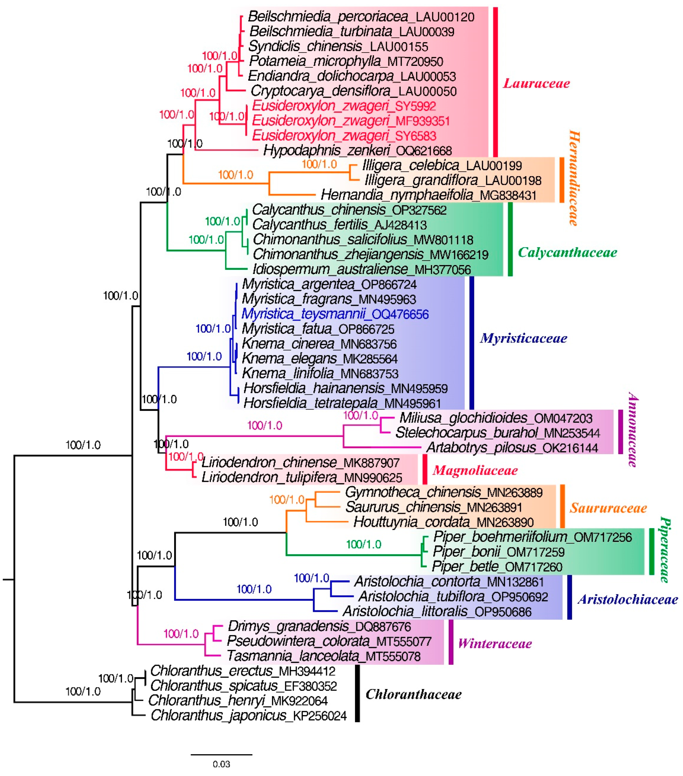 Preprints 90062 g008