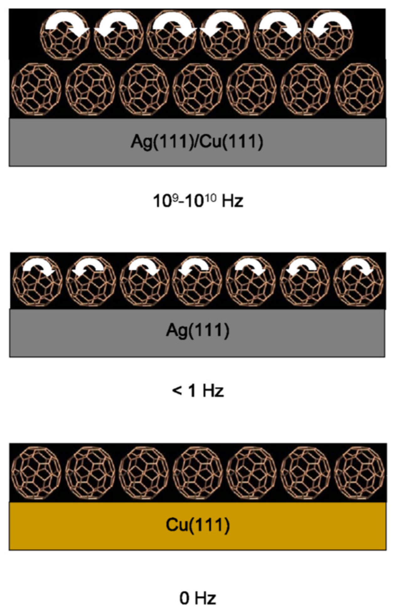 Preprints 106289 g009