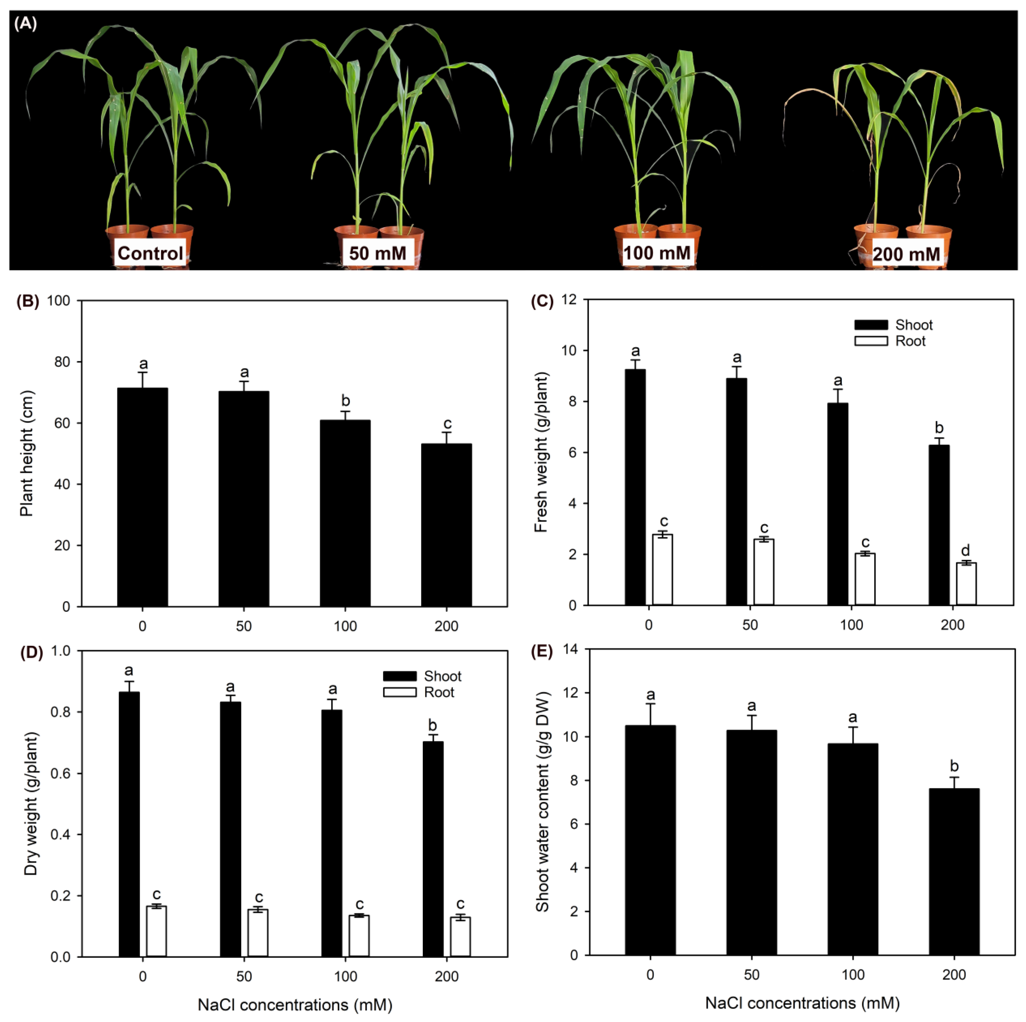 Preprints 75414 g001