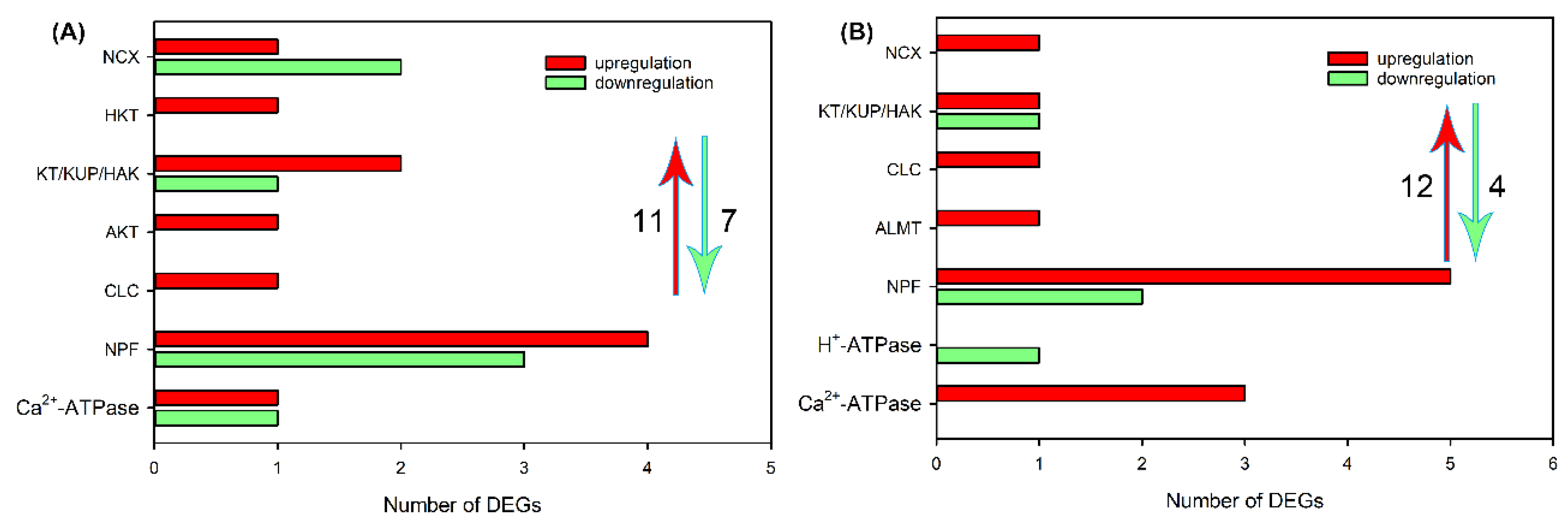 Preprints 75414 g005