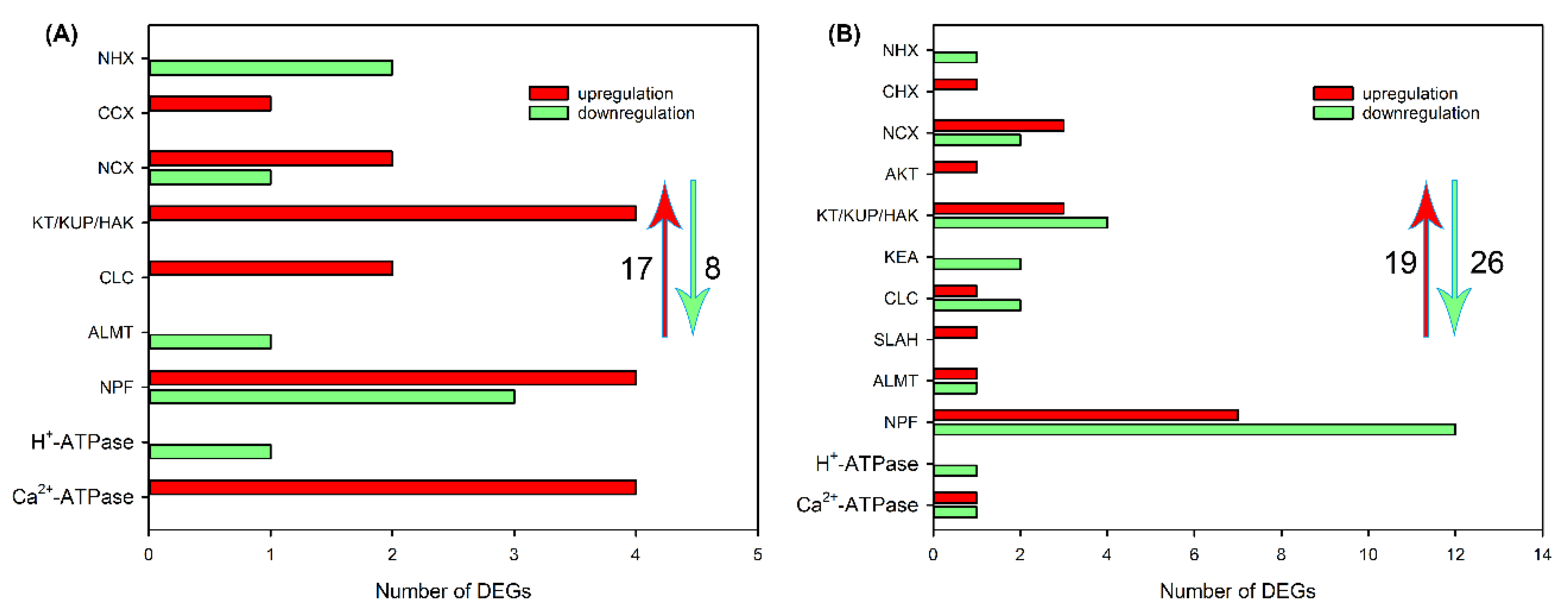 Preprints 75414 g006