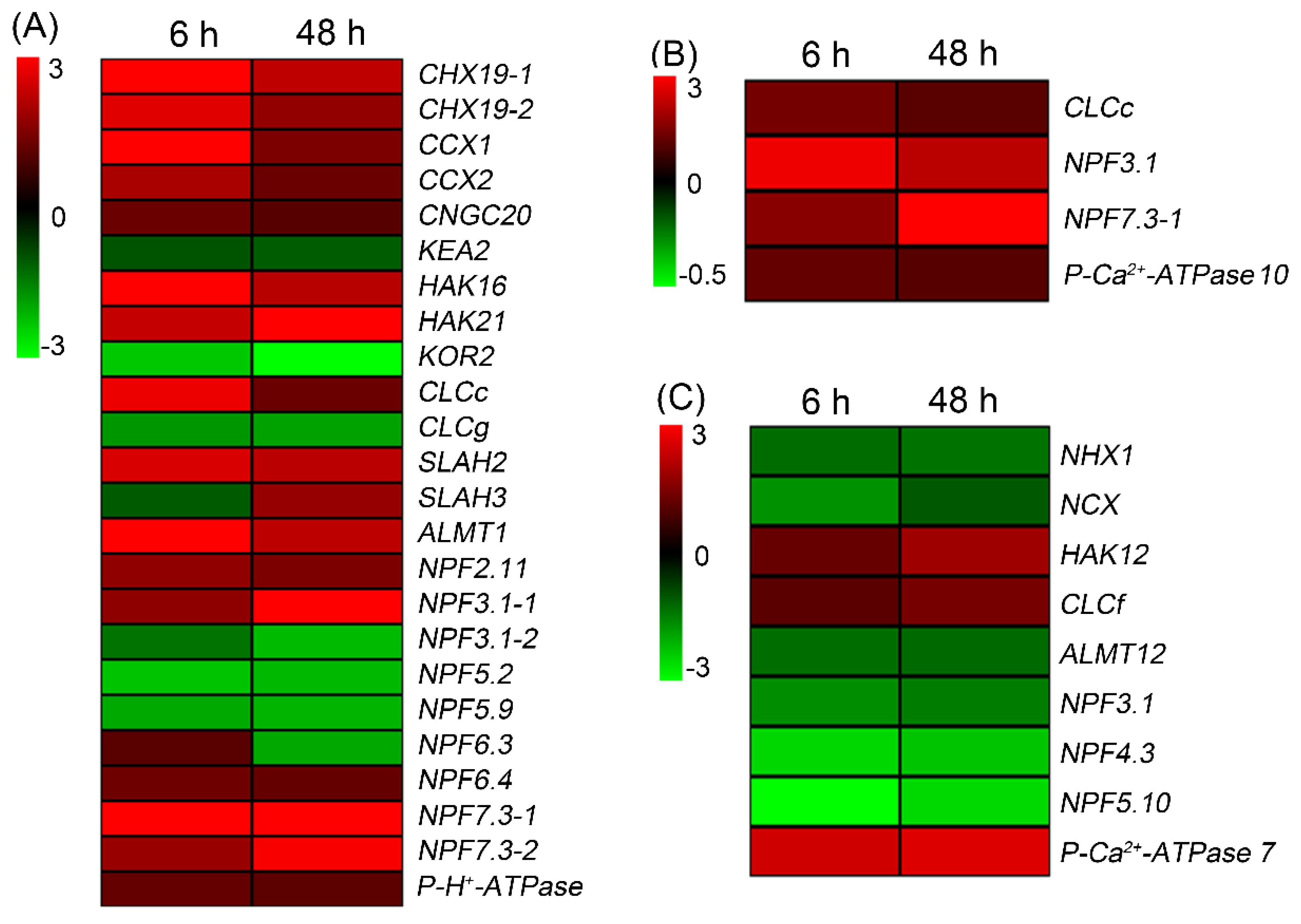 Preprints 75414 g007